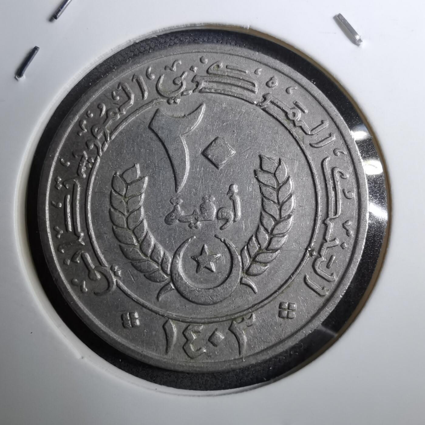 沼泽如烟--第888场