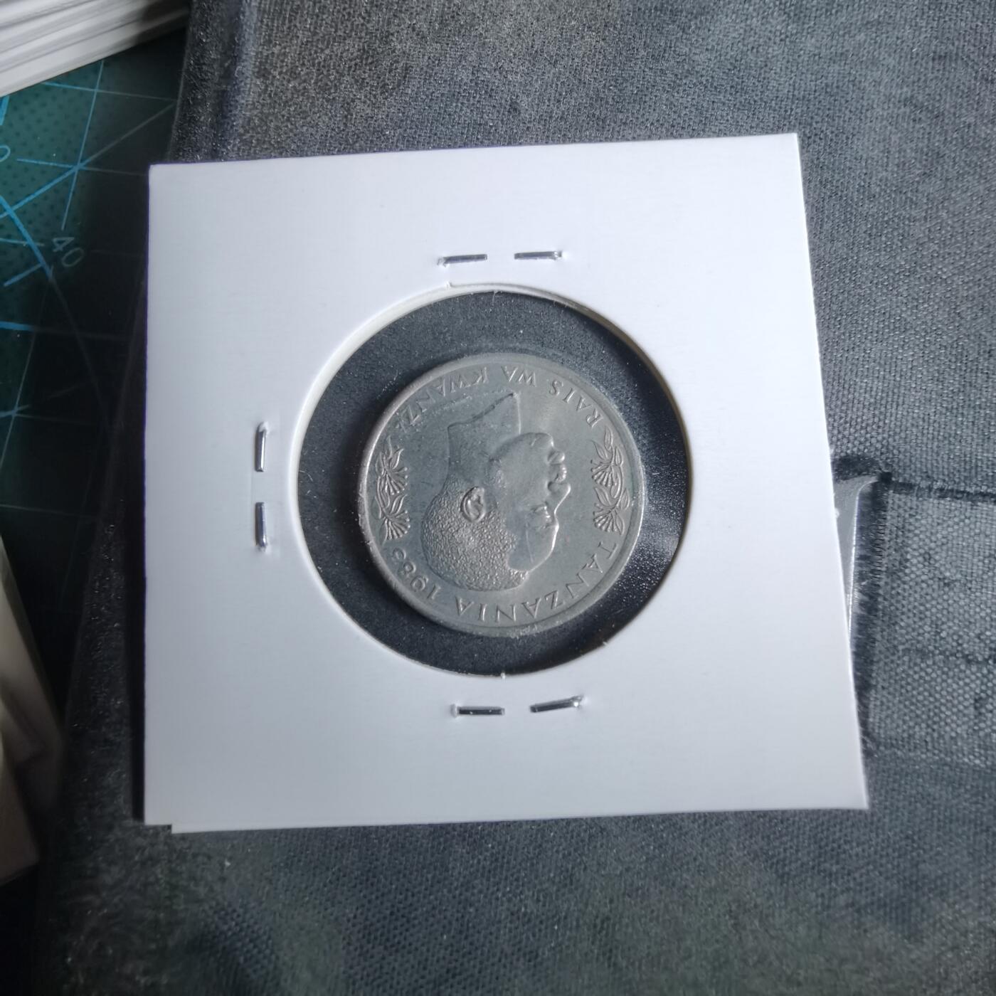 沼泽如烟--第889场