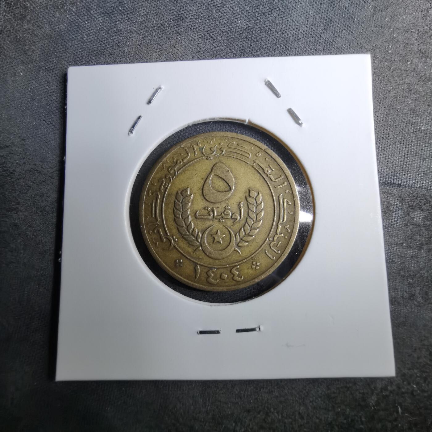 沼泽如烟--第888场