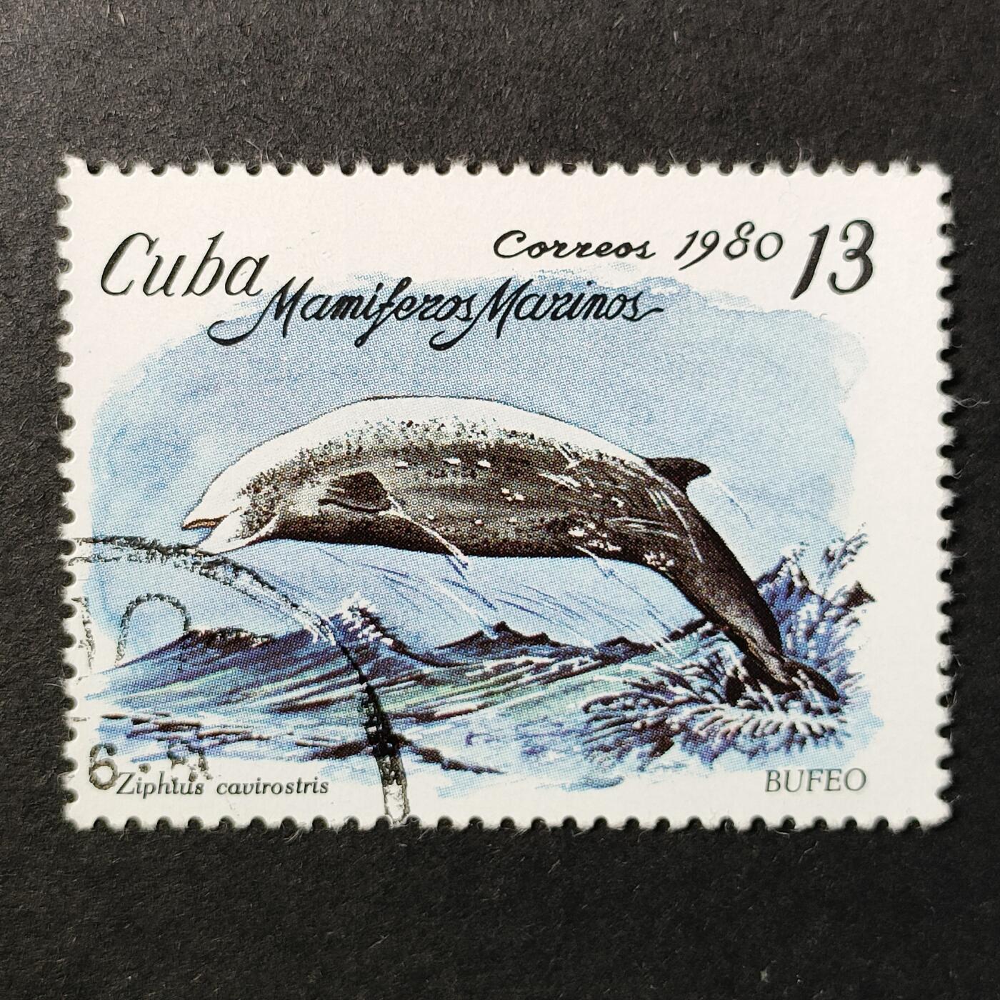 嘉禾收藏    【第366期】            无佣金、可寄存、满30元包邮