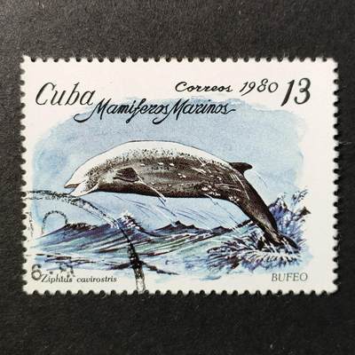 嘉禾收藏    【第366期】            无佣金、可寄存、满30元包邮 - 古巴邮票，1980年海洋哺乳动物 喙鲸邮票