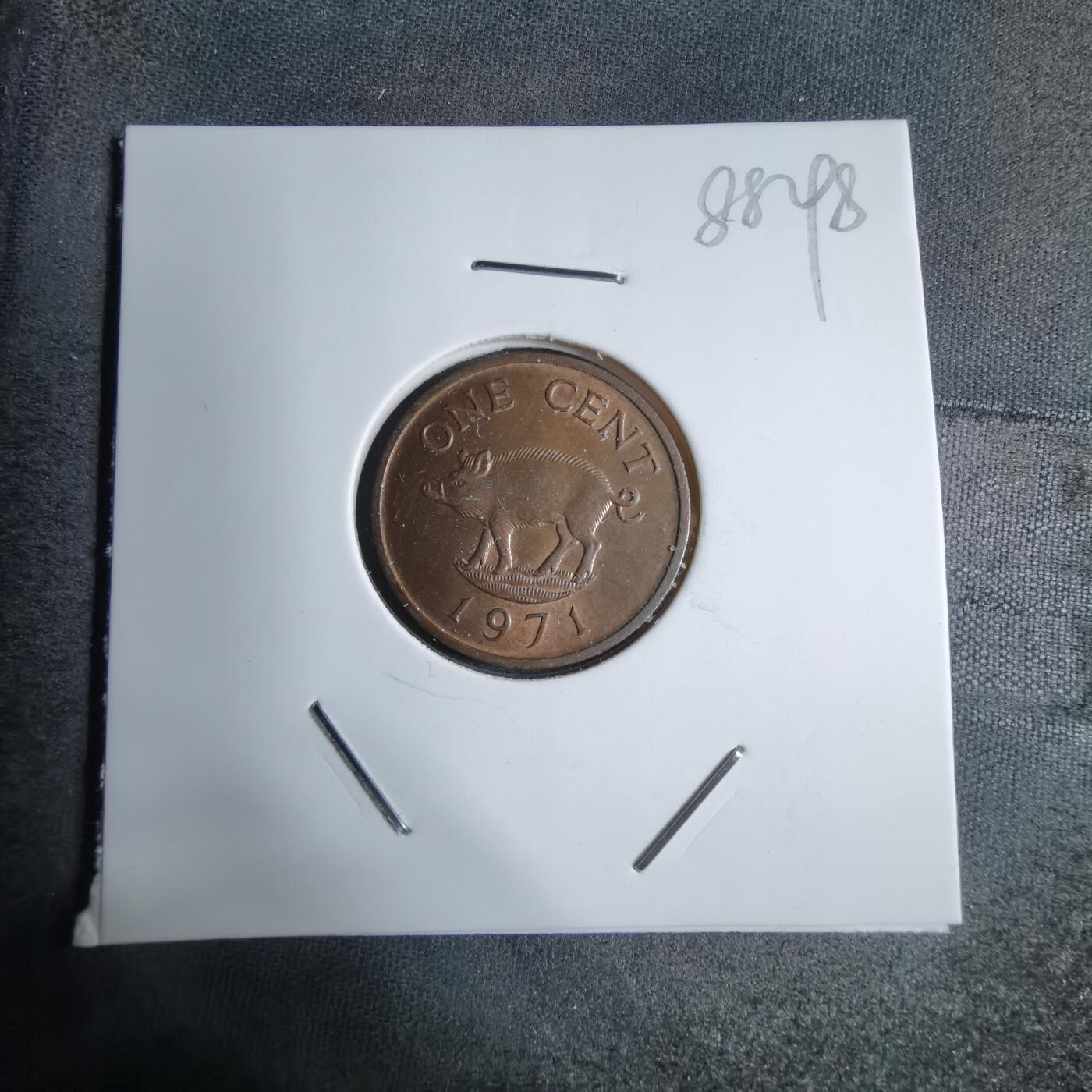 沼泽如烟--第888场