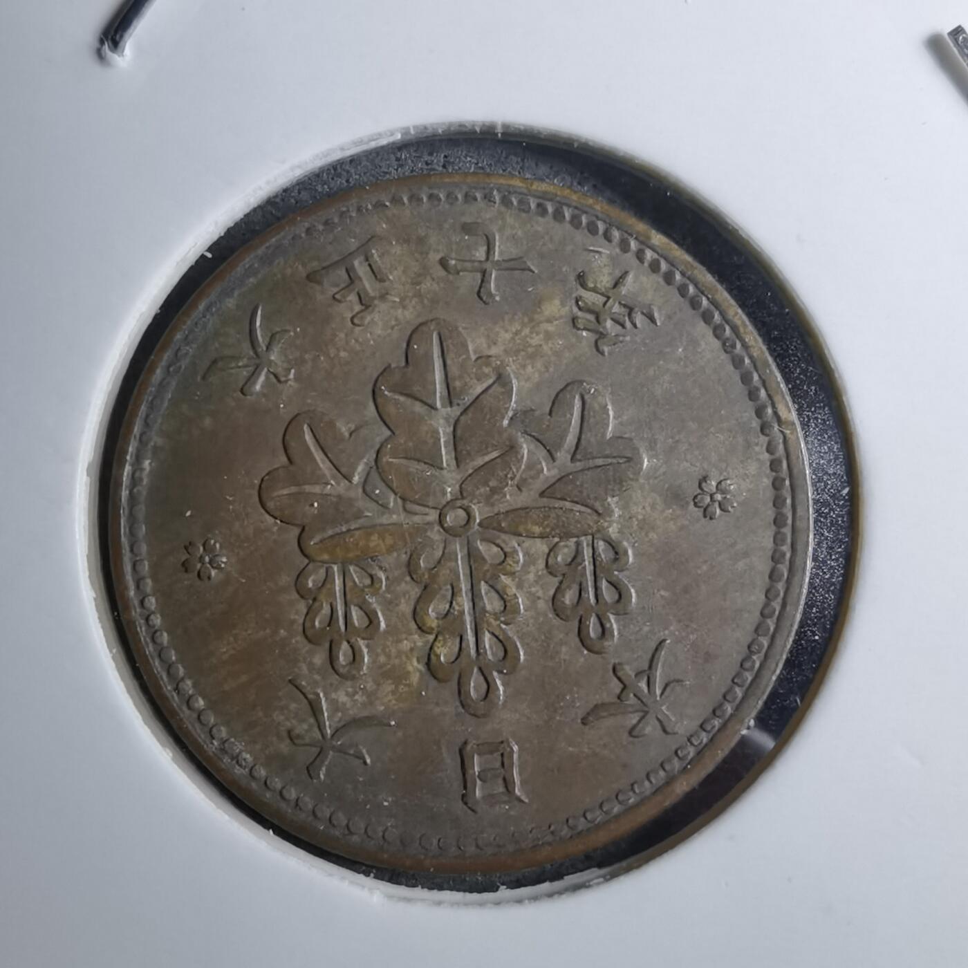 沼泽如烟--第888场