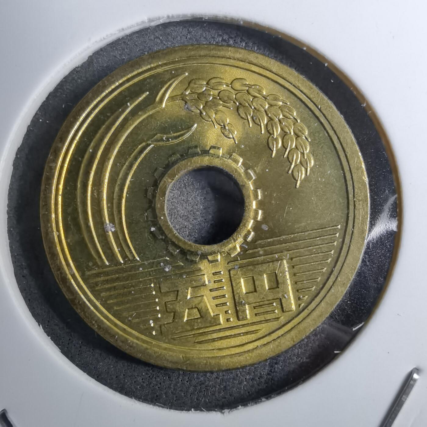 沼泽如烟--第888场