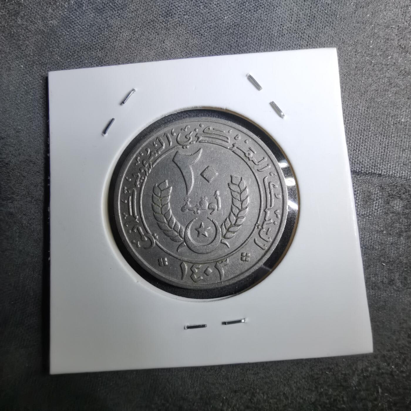 沼泽如烟--第888场