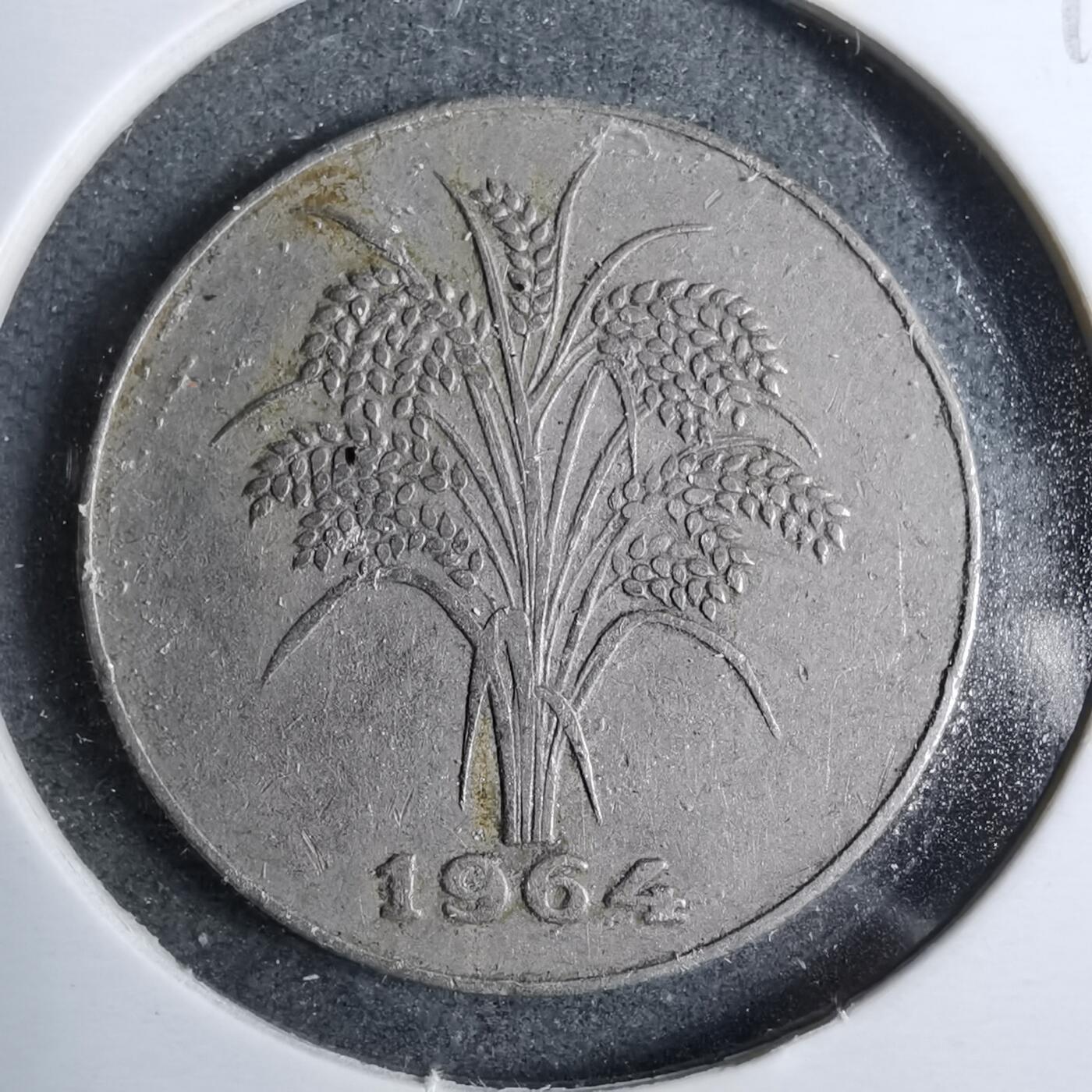 沼泽如烟--第889场