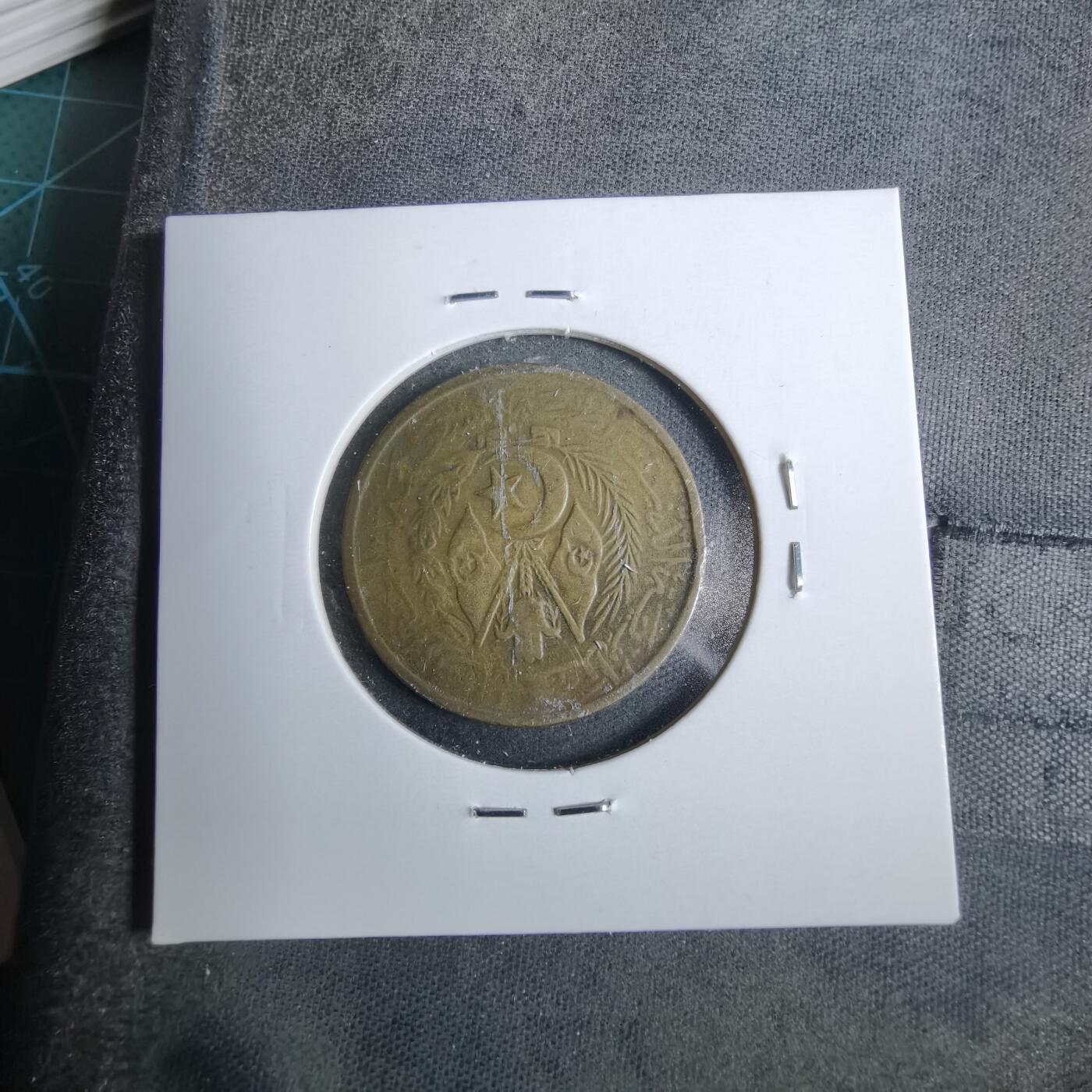 沼泽如烟--第889场