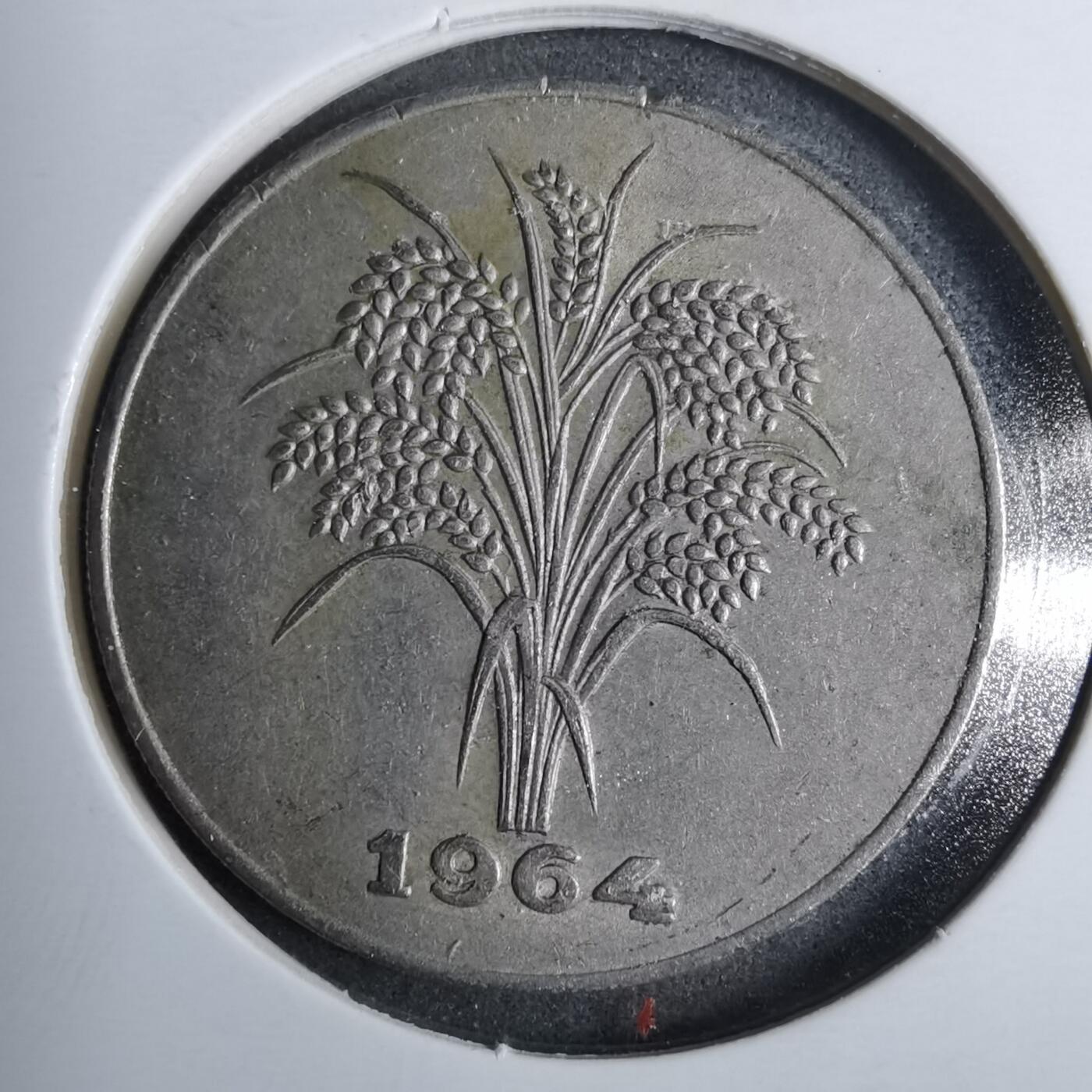 沼泽如烟--第889场