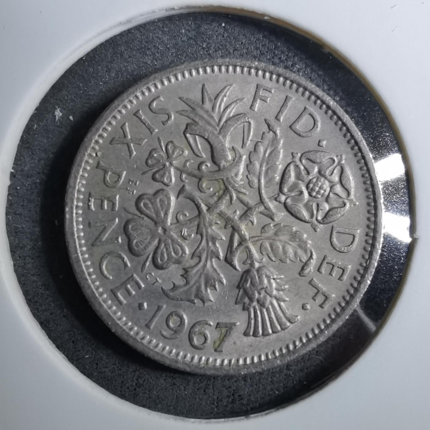 沼泽如烟--第888场