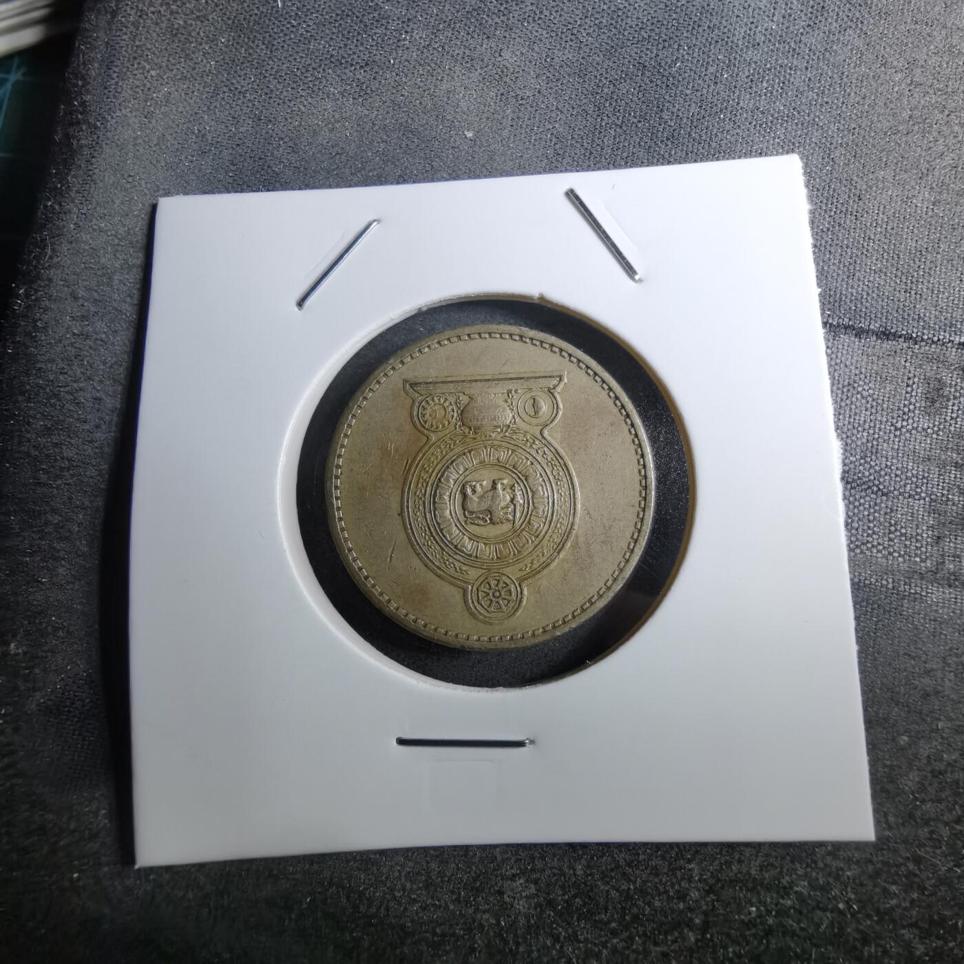 沼泽如烟--第888场