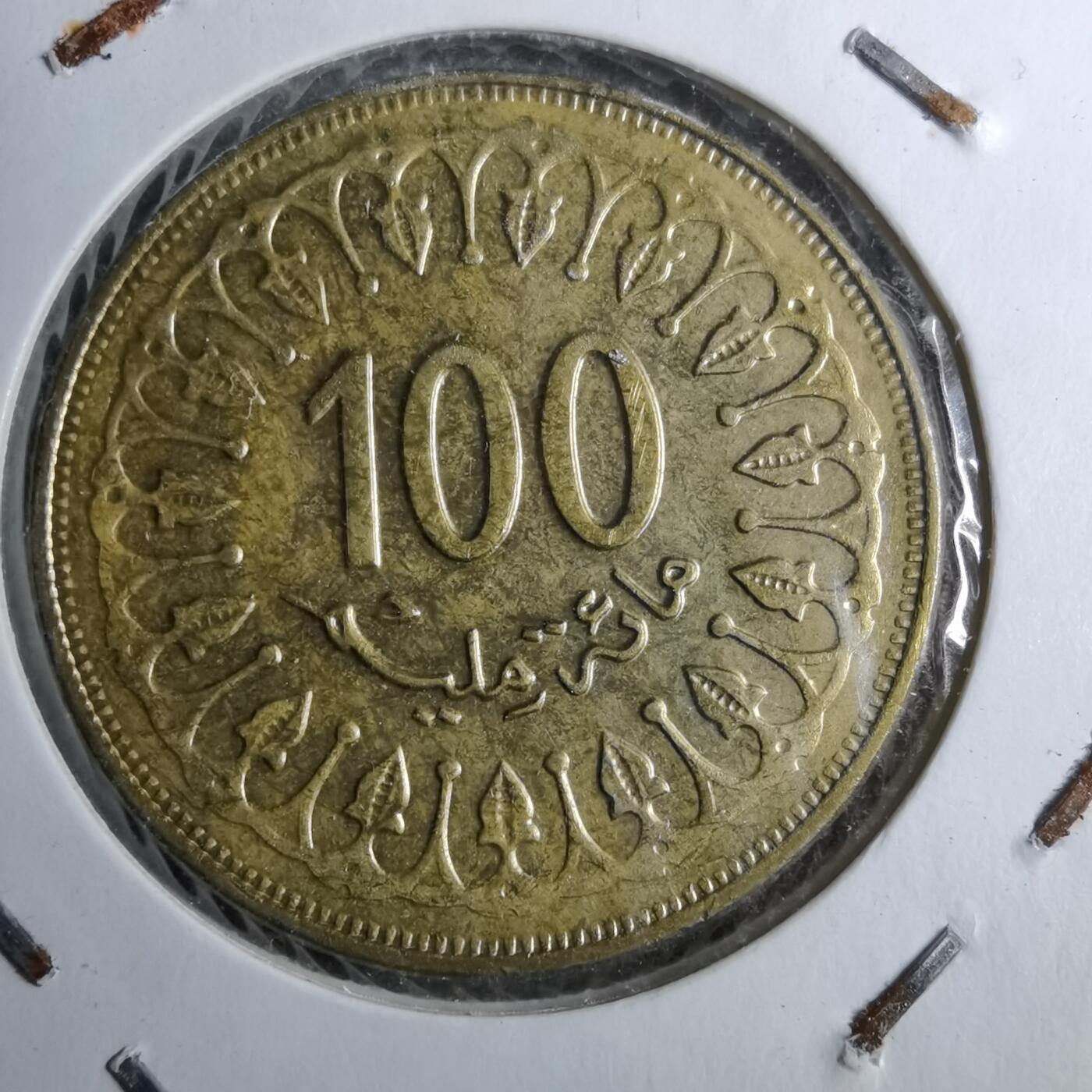 沼泽如烟--第888场