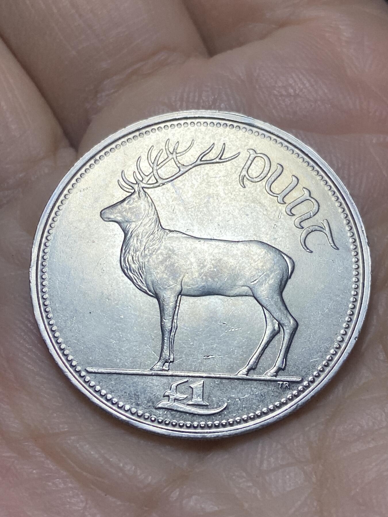 2025年第一百二十一场(总第一百四十七场）外国好品散币(免佣金) 好品–爱尔兰🇮🇪1994年1镑(共和国时期第二套)