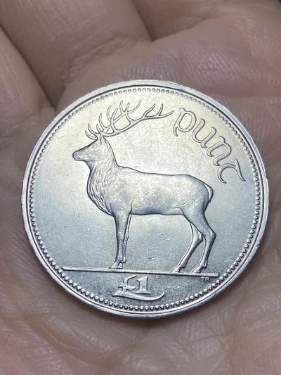 2025年第一百二十一场(总第一百四十七场）外国好品散币(免佣金) - 好品–爱尔兰🇮🇪1994年1镑(共和国时期第二套)