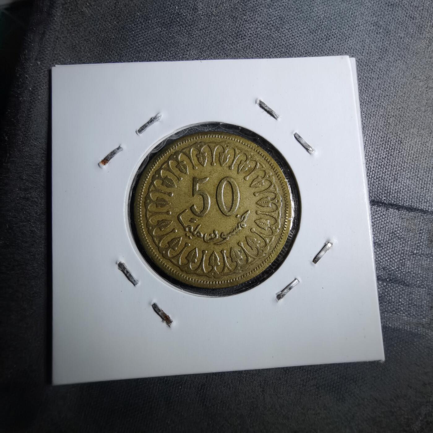 沼泽如烟--第888场