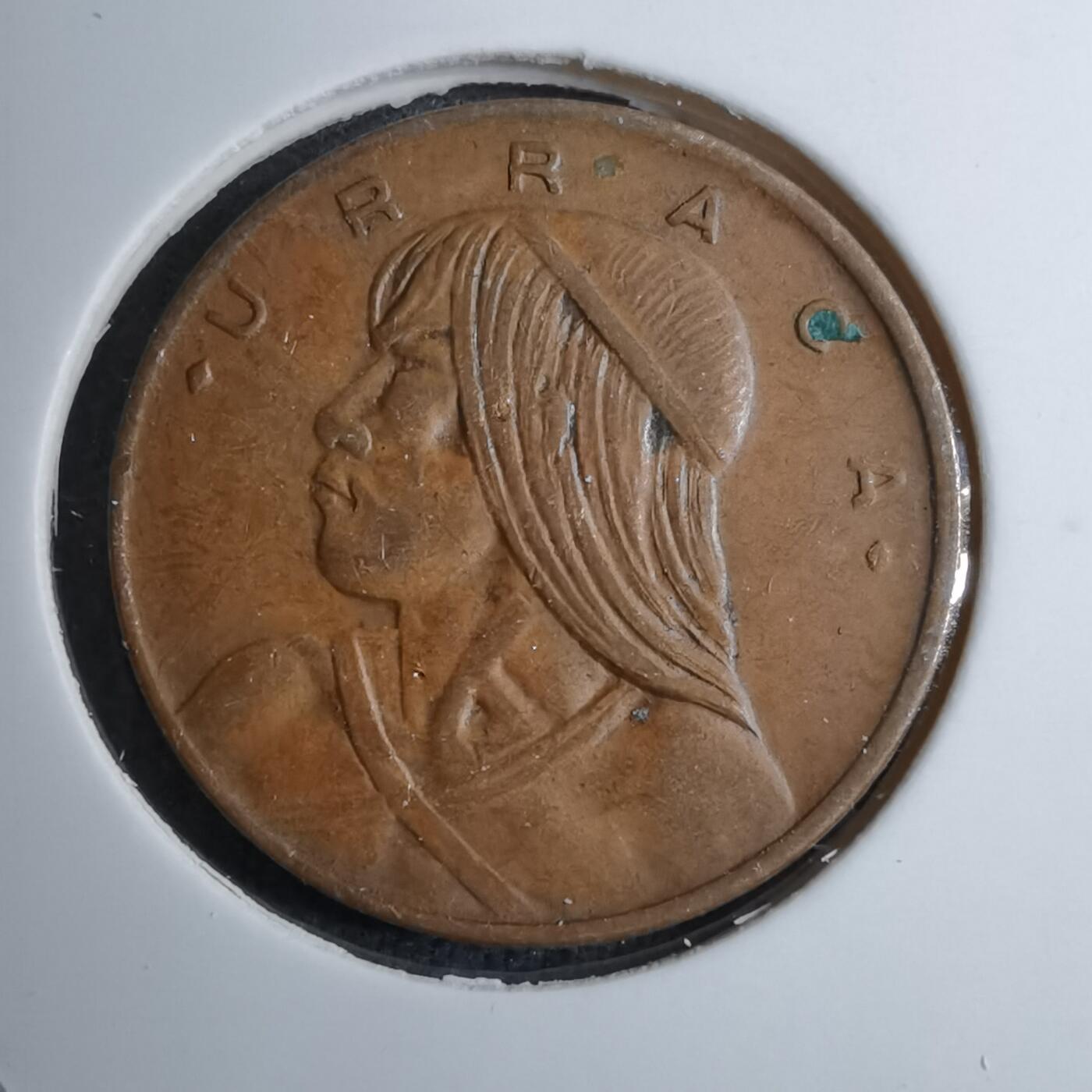 沼泽如烟--第888场