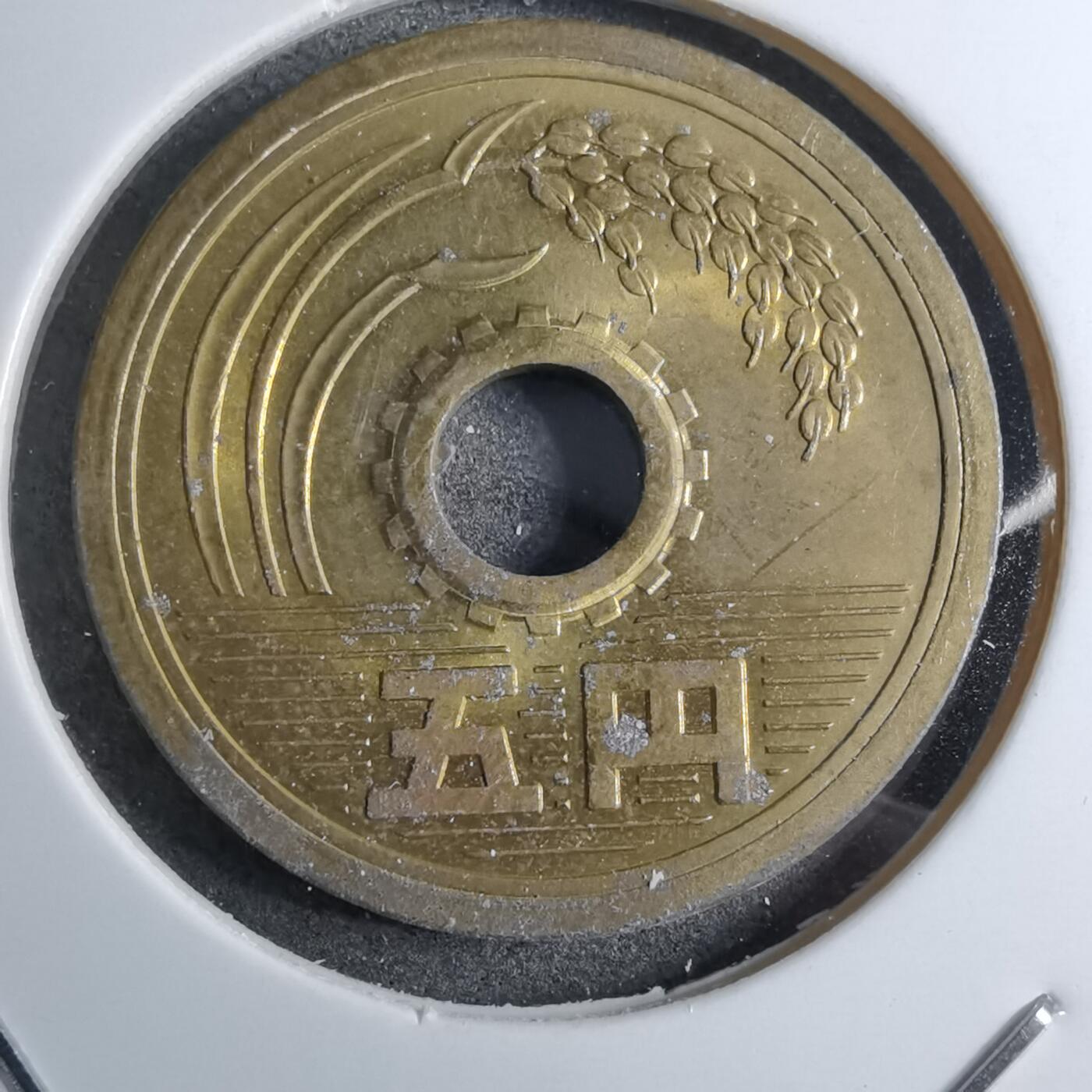 沼泽如烟--第888场