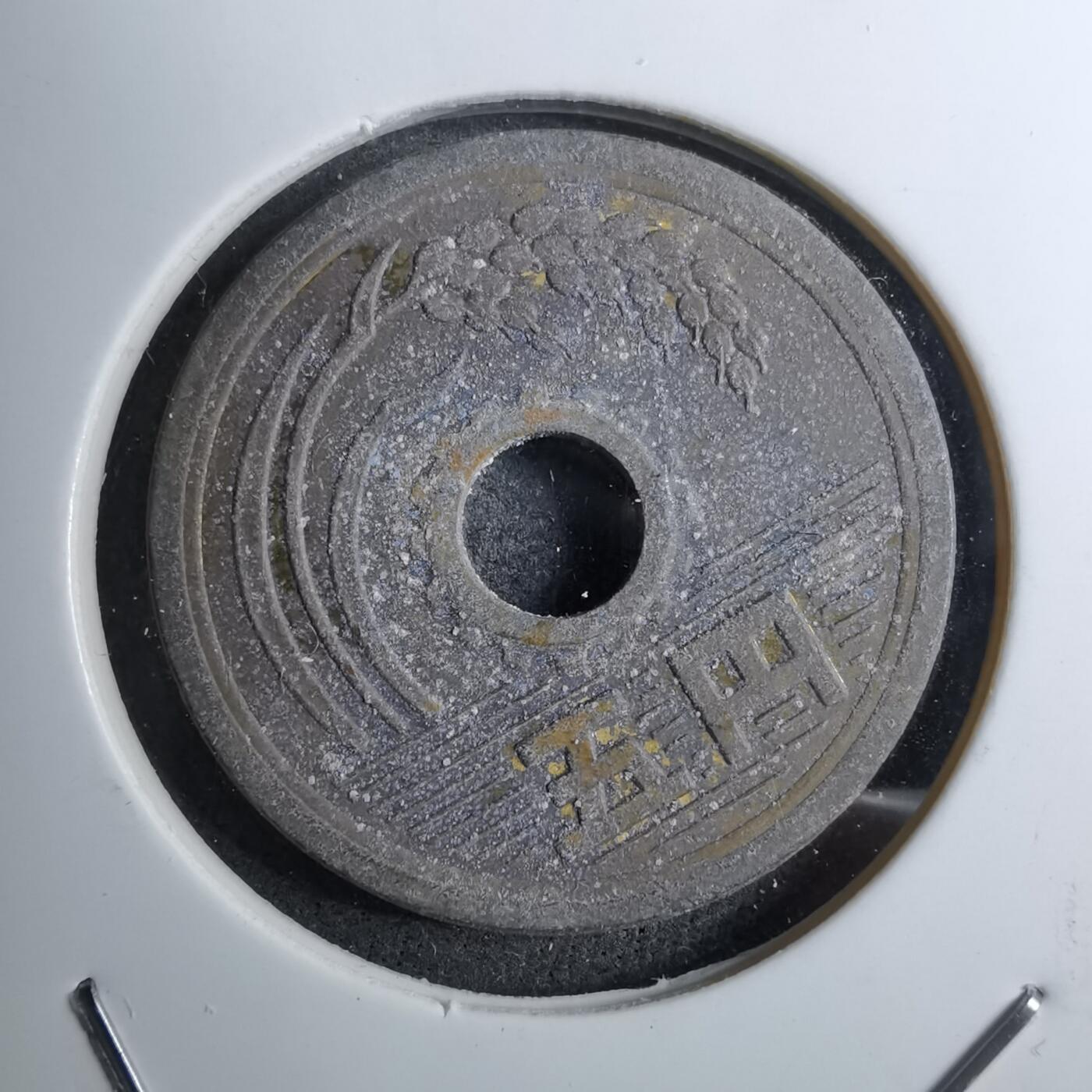 沼泽如烟--第888场