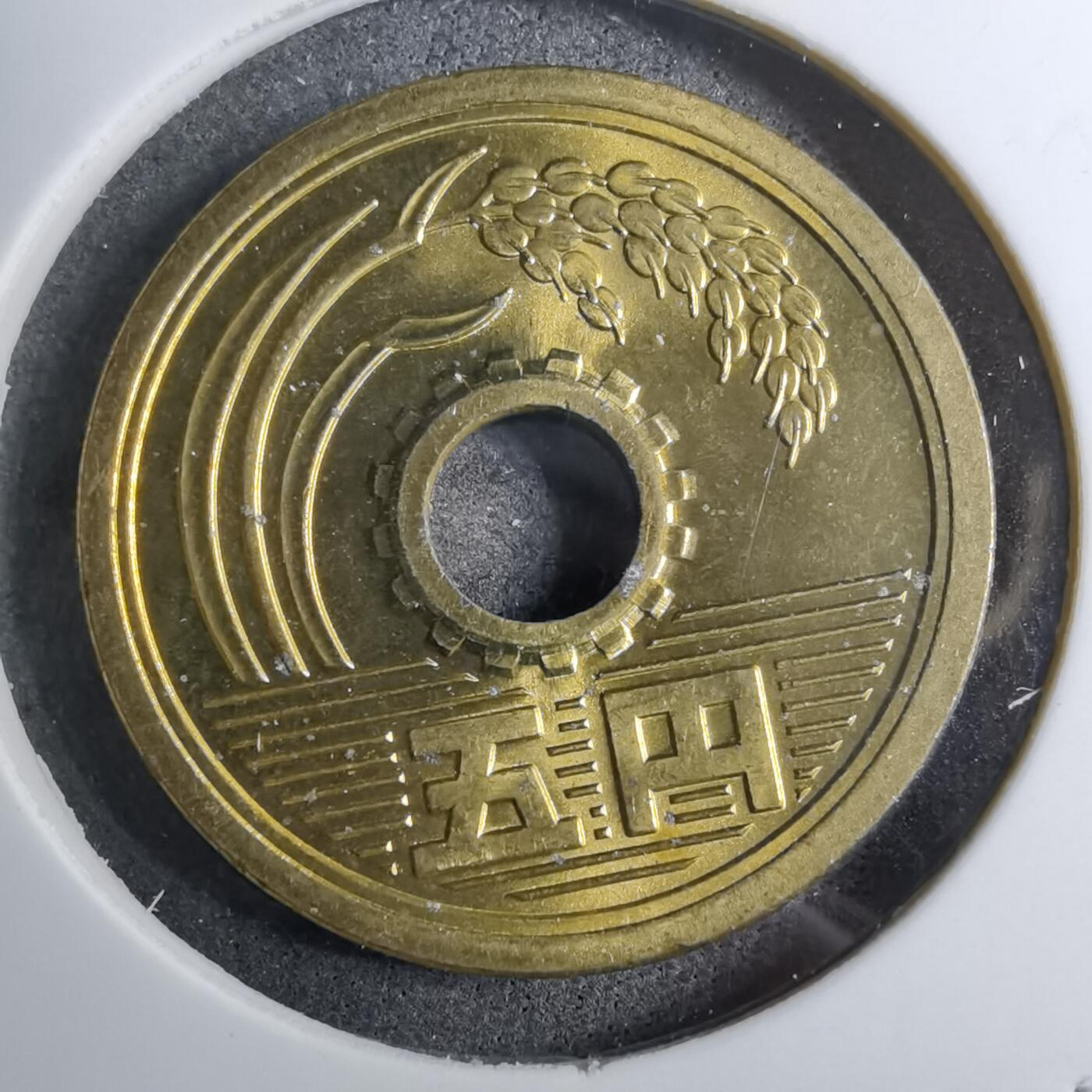 沼泽如烟--第888场