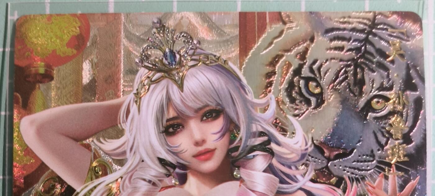 C先生卡牌 第15期 元集纪·刷子签·罐儿签·毒瘤签(持续收拍品中...) 【粗闪】卡玩帕克《魂姬三国》孙鲁班