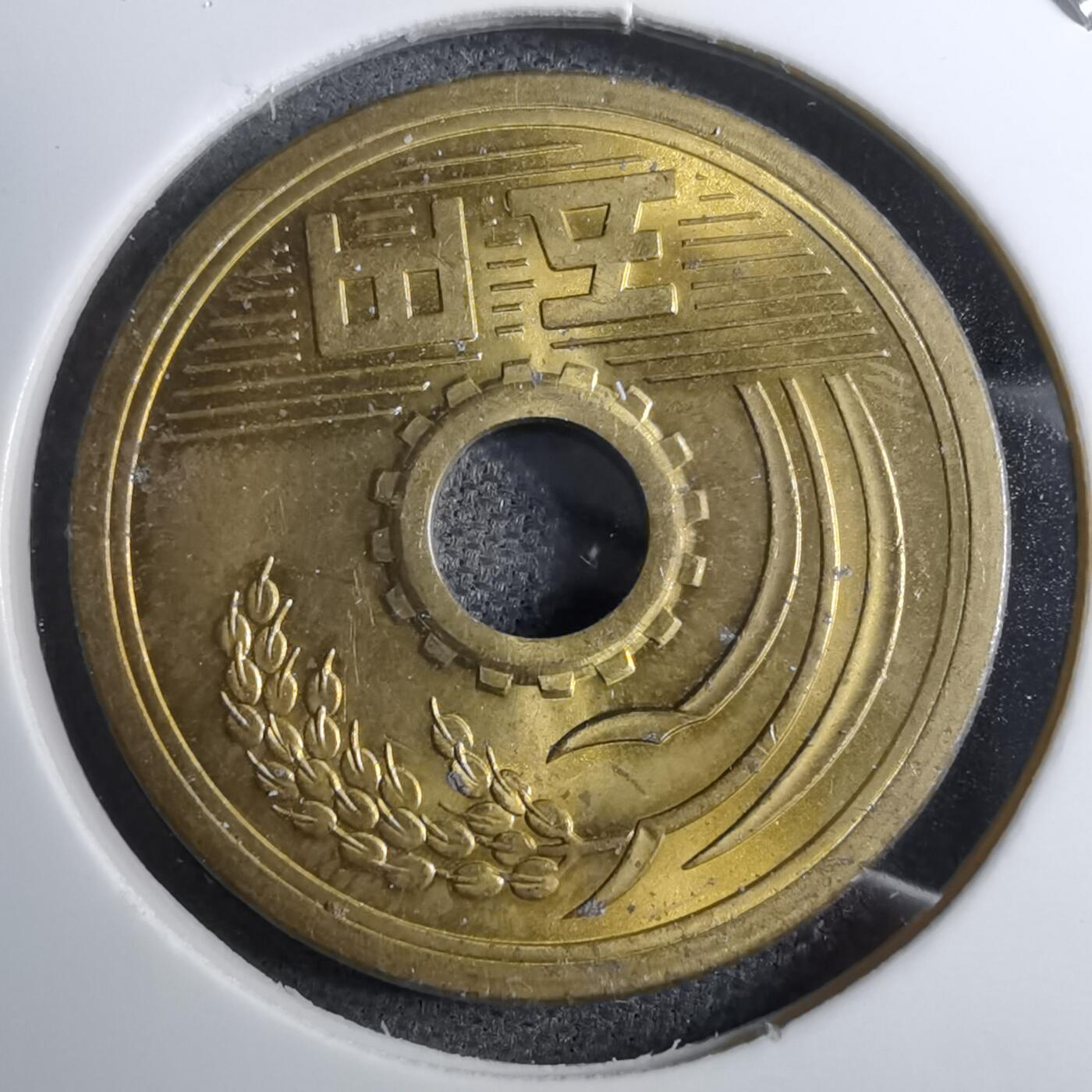 沼泽如烟--第888场