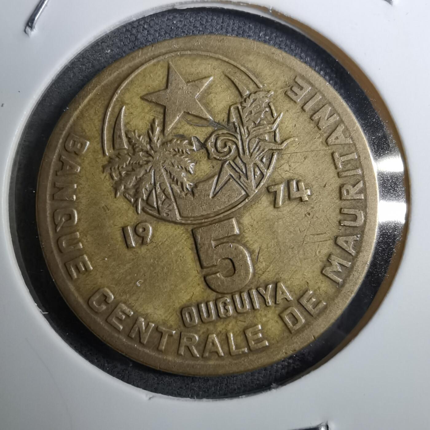 沼泽如烟--第888场