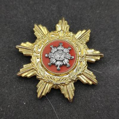 0元起拍勋章 第307期 咸鱼国勋章拍卖专场 11月5日（周三）下午6：00开始 - 消防团徽章