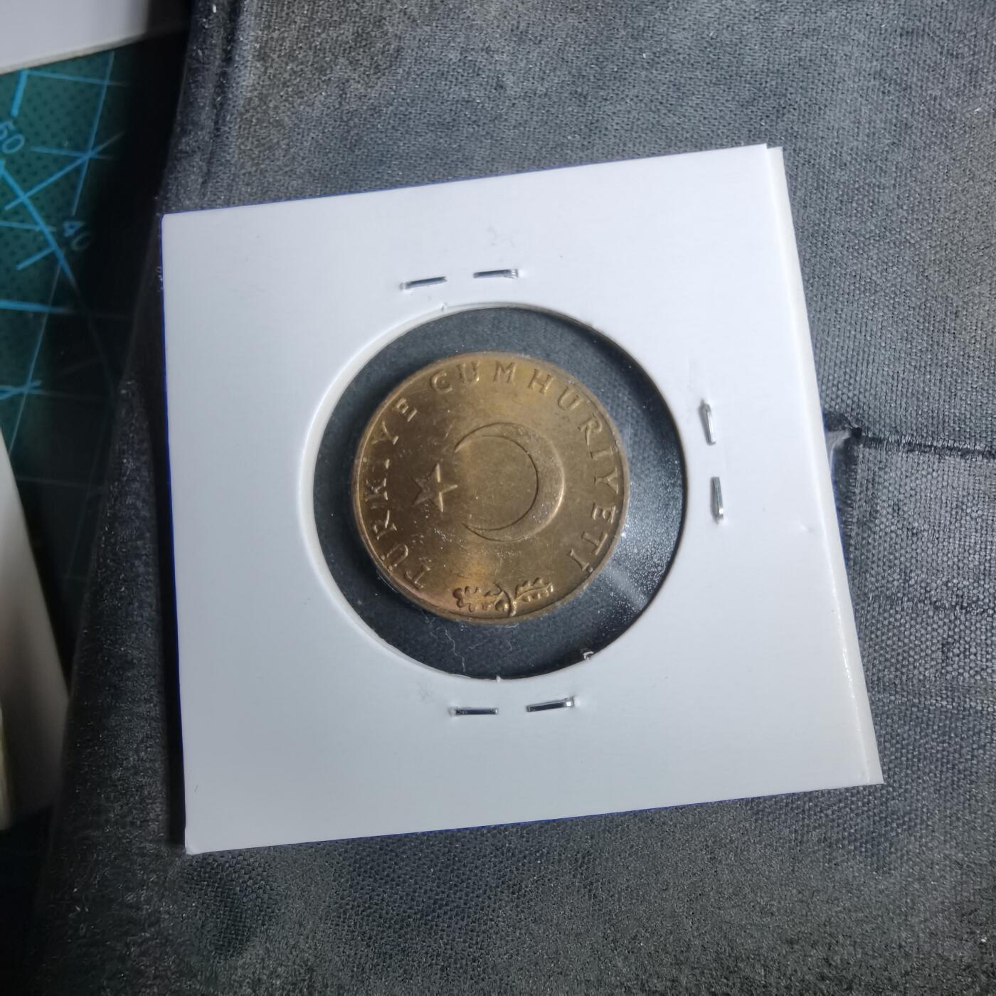 沼泽如烟--第889场