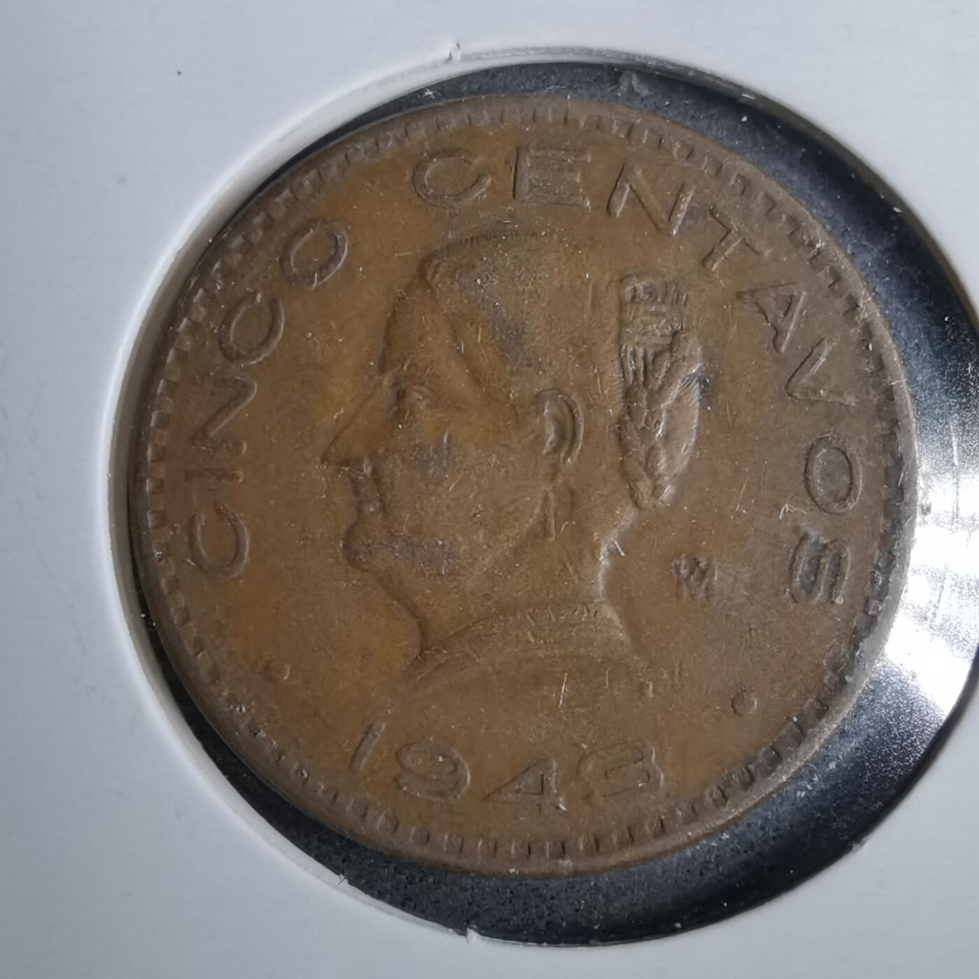 沼泽如烟--第889场