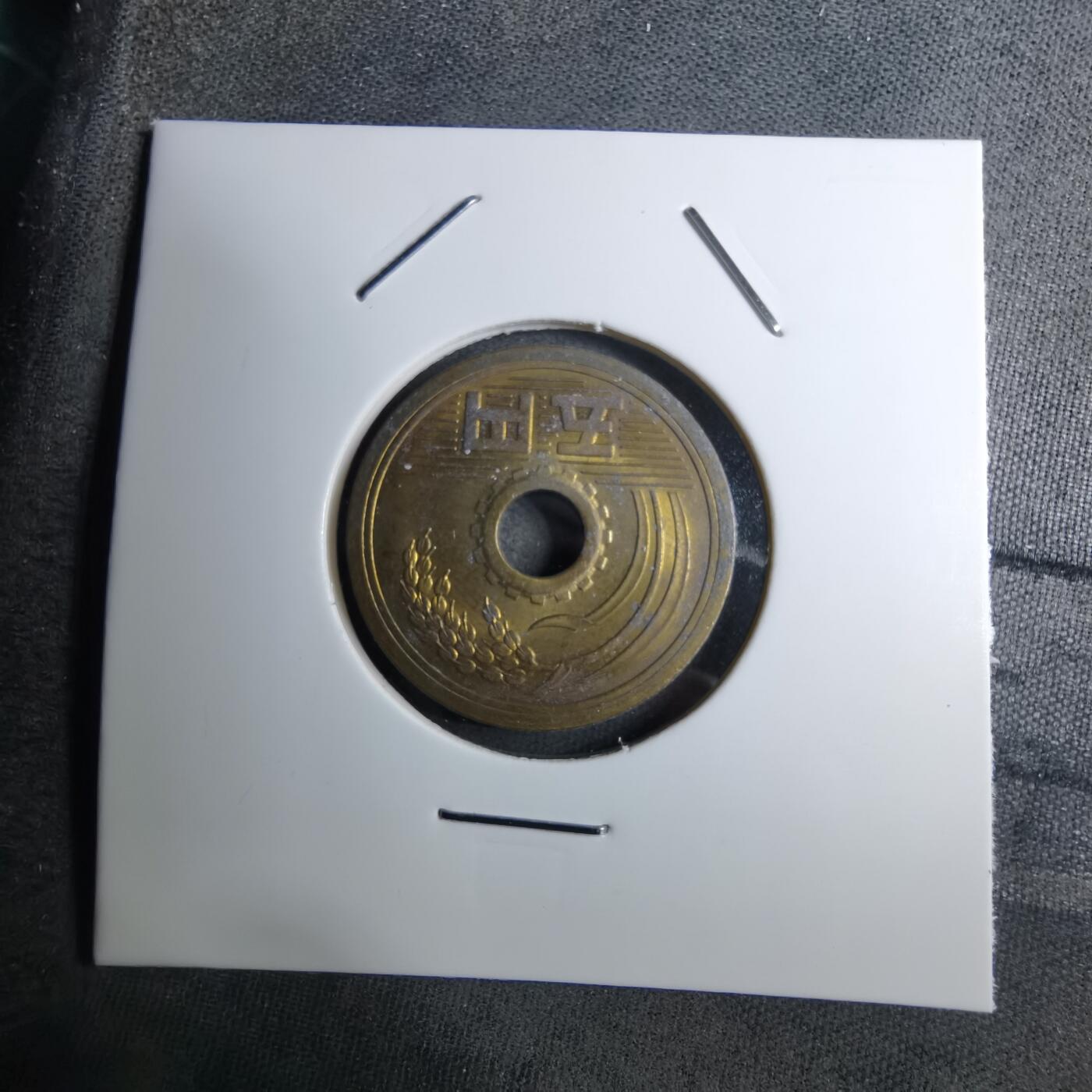 沼泽如烟--第888场