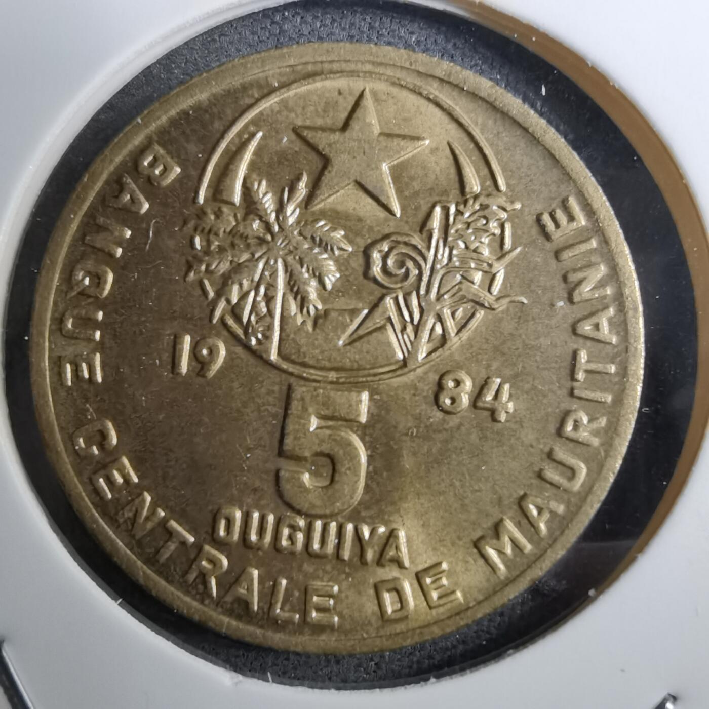 沼泽如烟--第888场