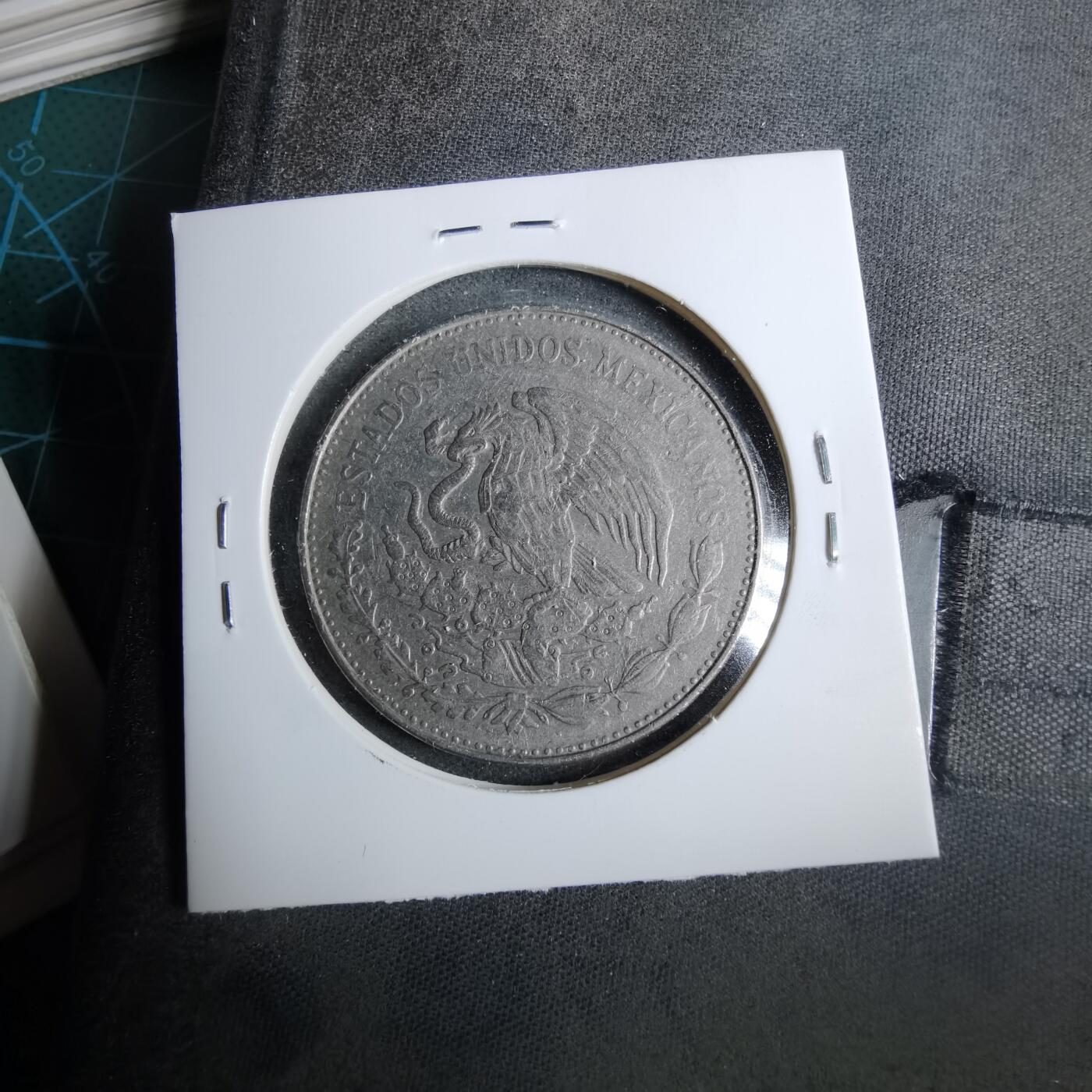 沼泽如烟--第889场