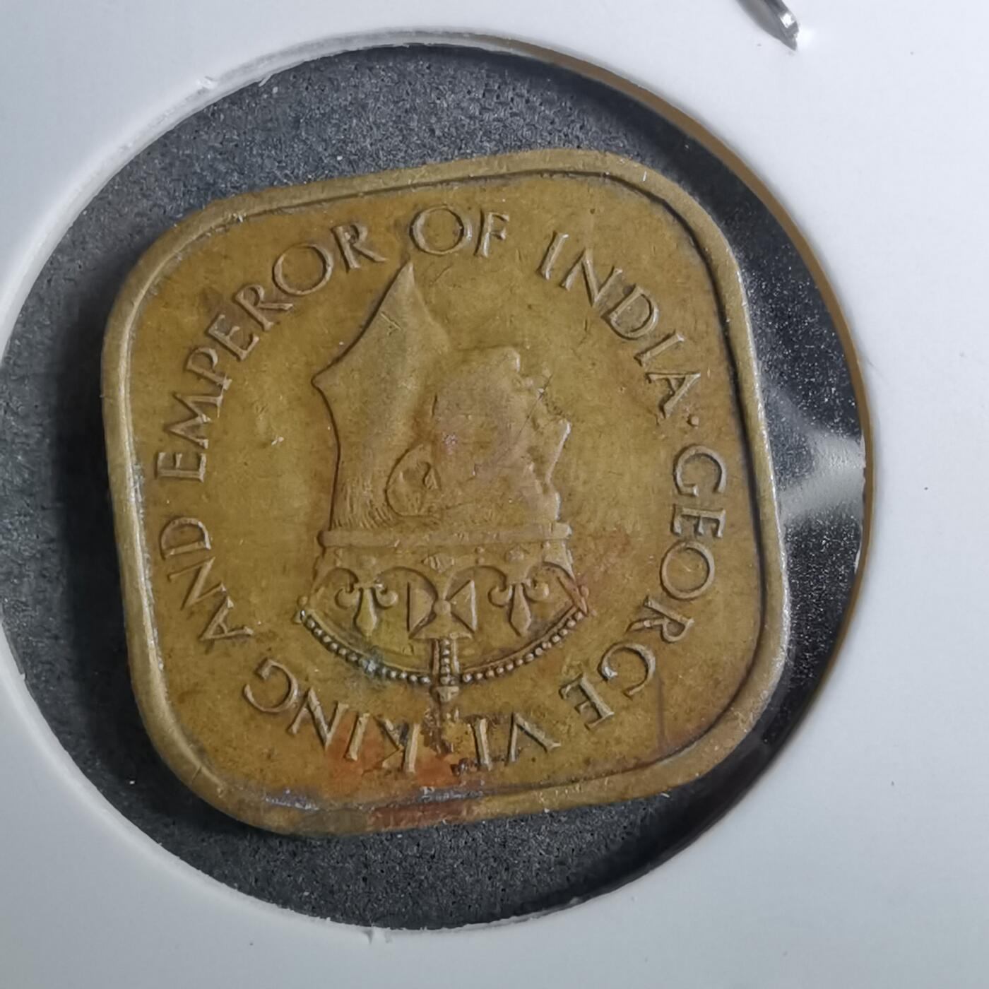 沼泽如烟--第888场