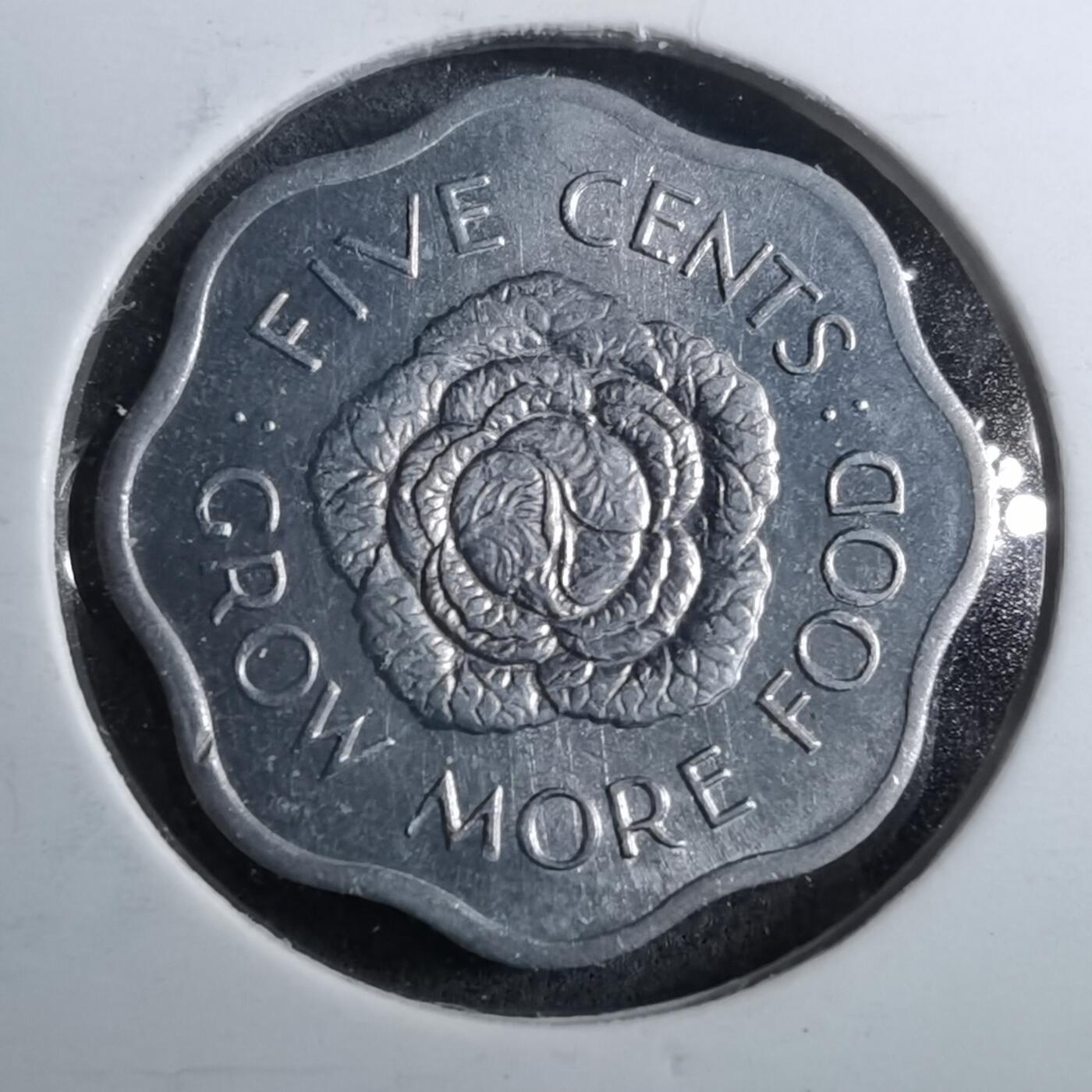 沼泽如烟--第888场