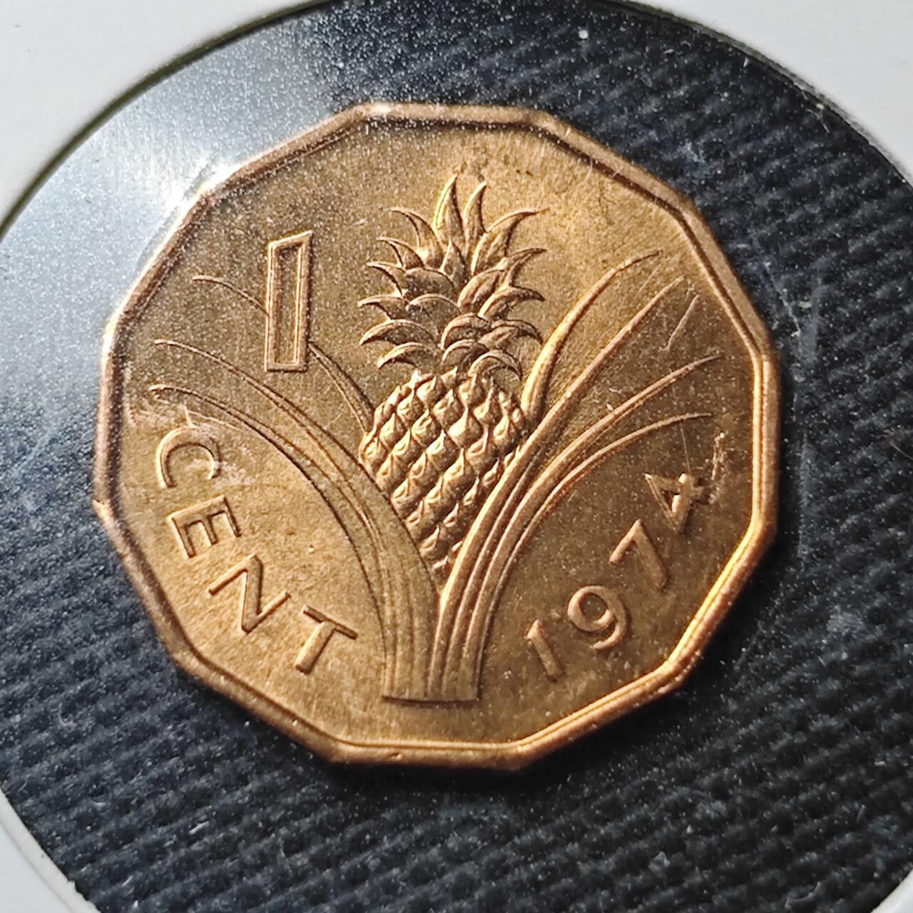 KK钱币收藏小铺  第362场  2月预留时间 周末发货  1974斯威士兰1分铜币 好品