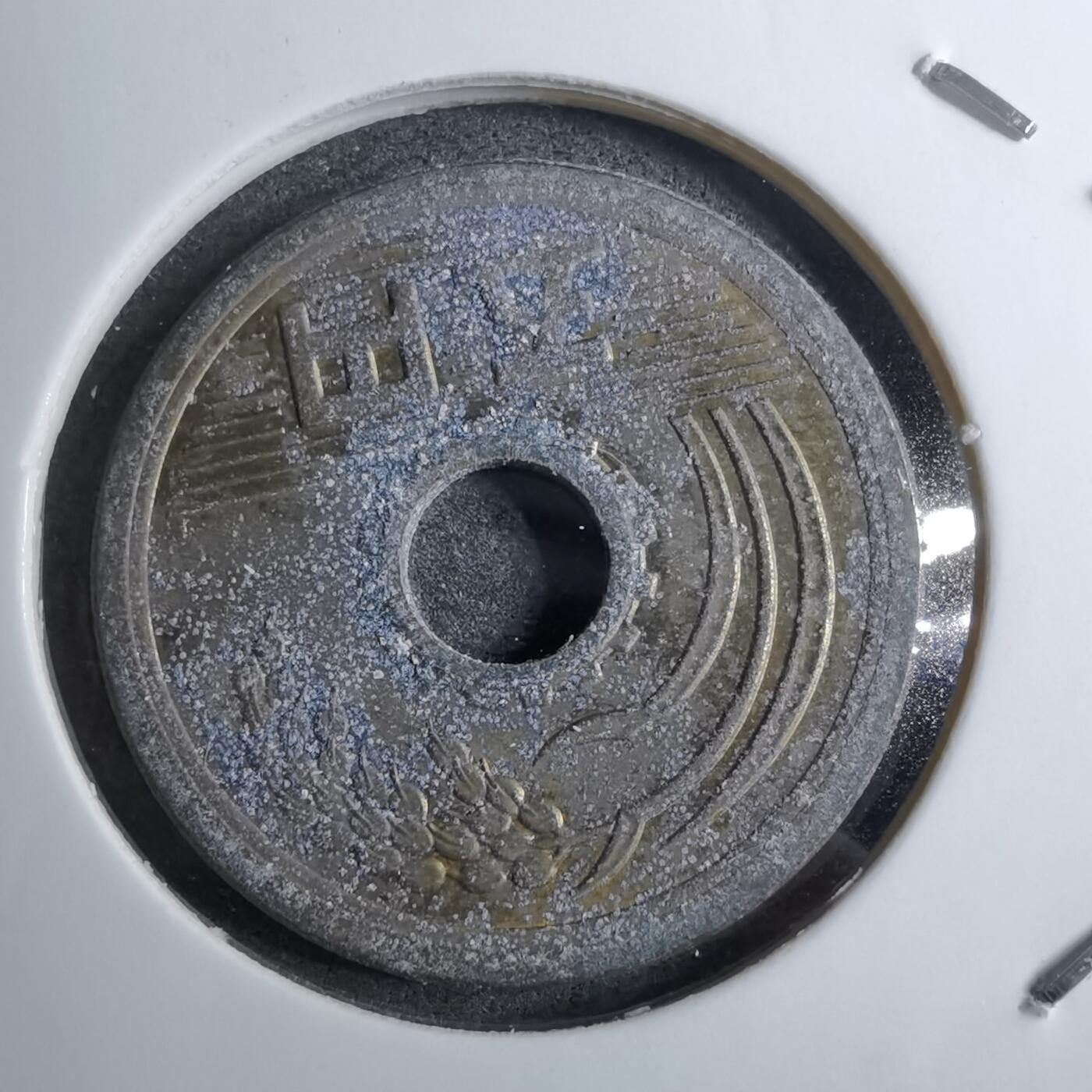 沼泽如烟--第888场