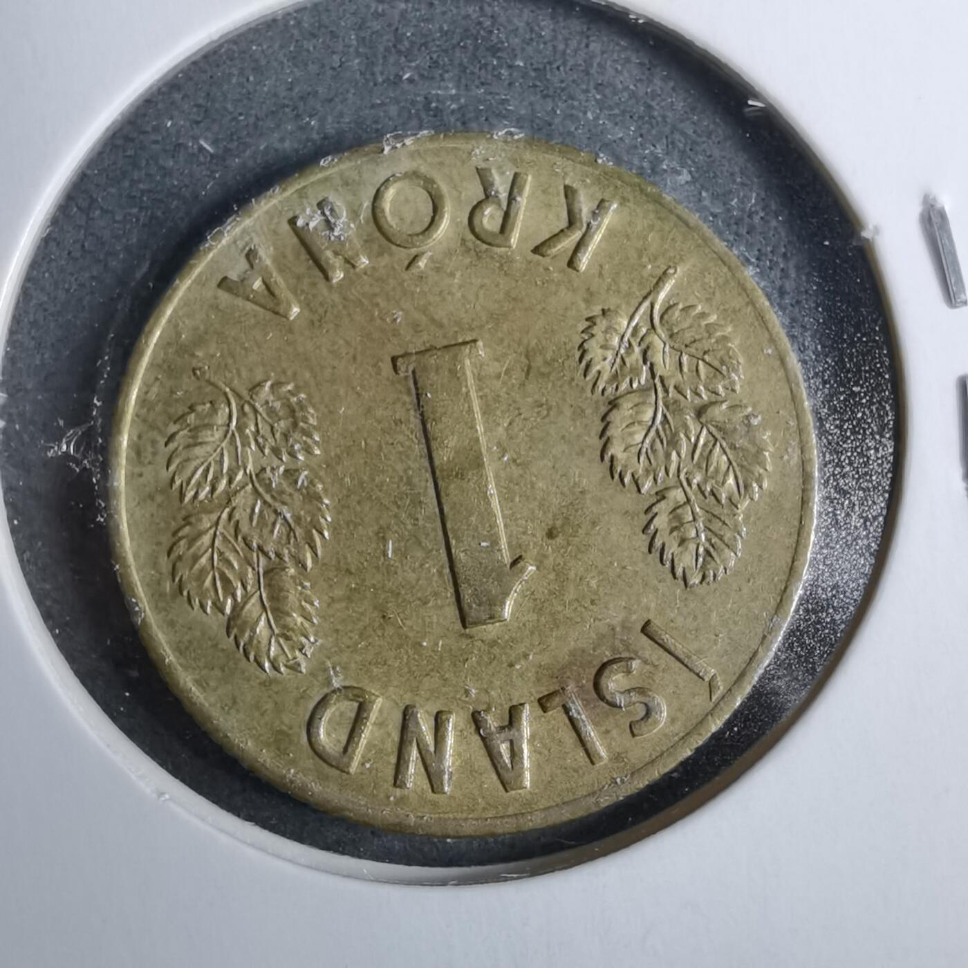 沼泽如烟--第889场