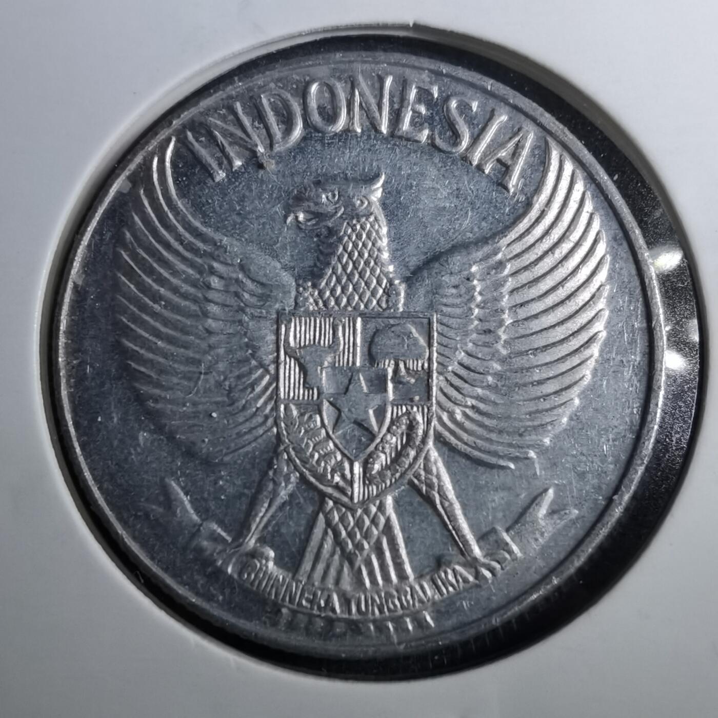 沼泽如烟--第888场