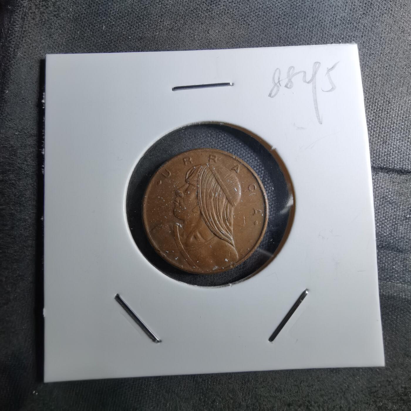 沼泽如烟--第888场