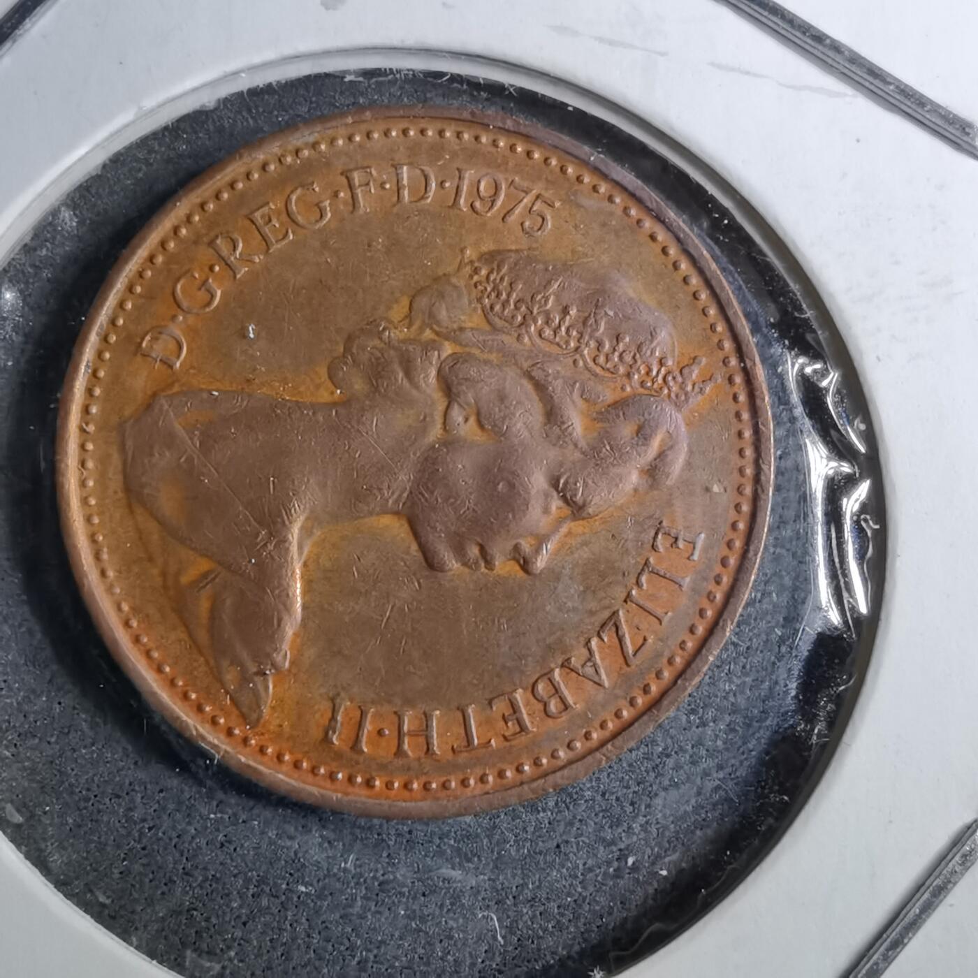 沼泽如烟--第888场