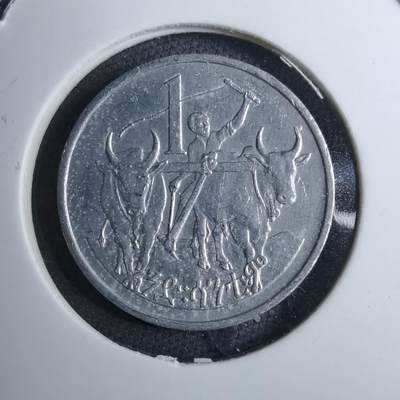 沼泽如烟--第888场 - 埃塞俄比亚