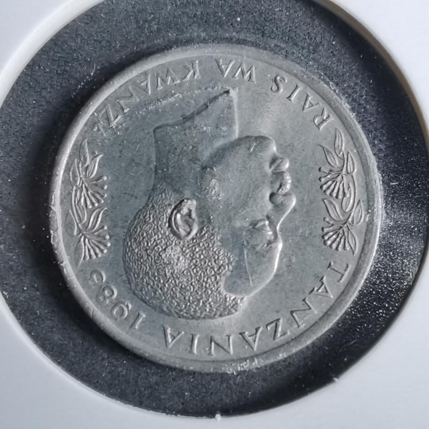 沼泽如烟--第889场