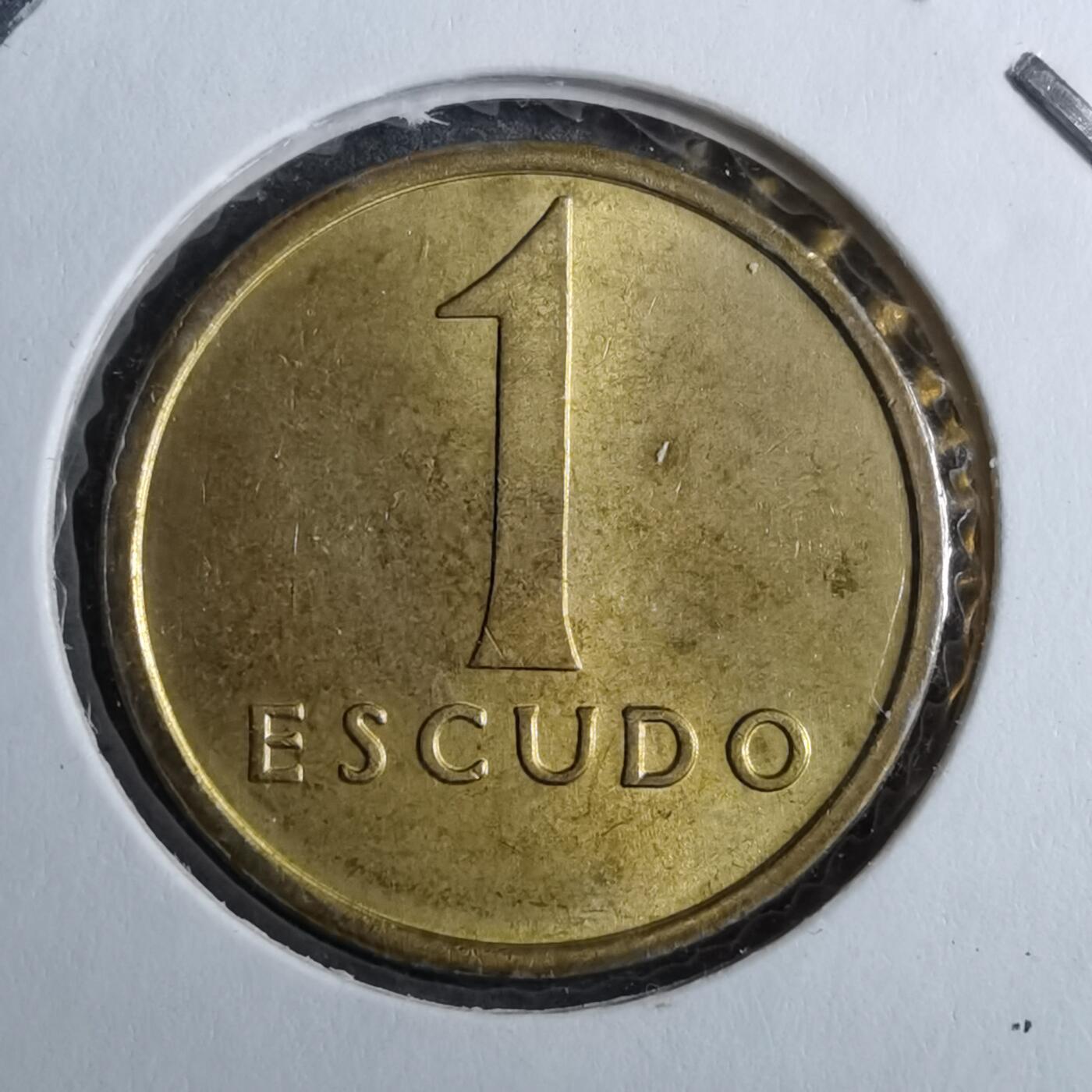 沼泽如烟--第888场