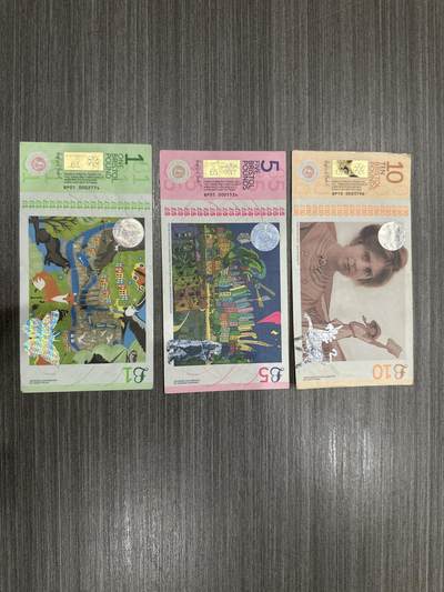 杂币连体钞 - 英国布里斯托尔英镑流通品 稀少品