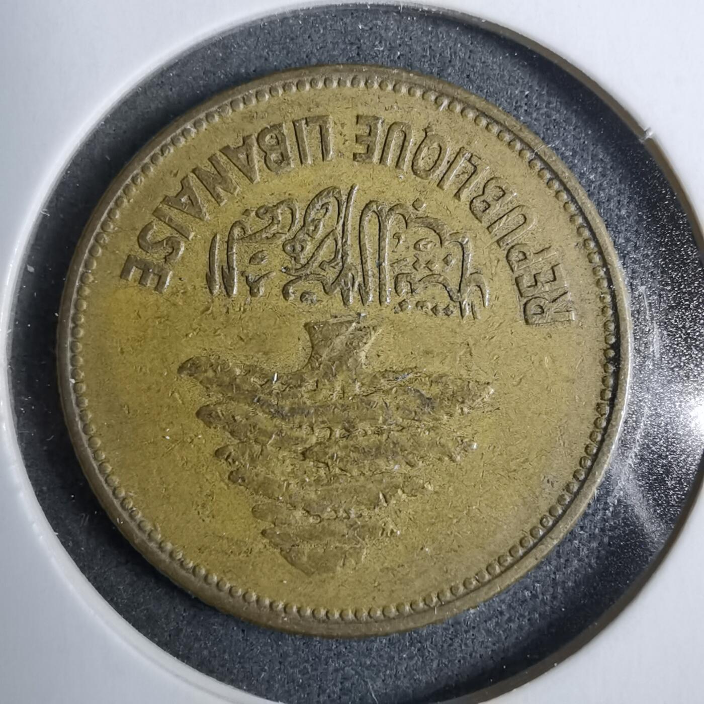 沼泽如烟--第889场