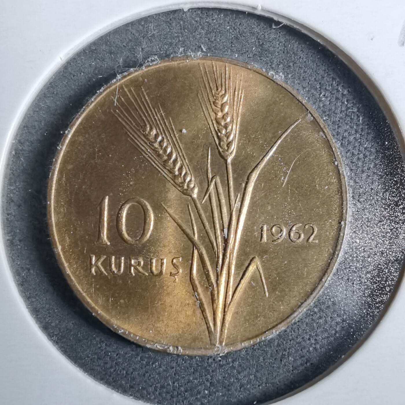 沼泽如烟--第889场