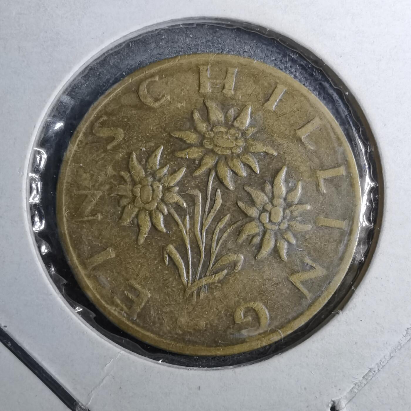 沼泽如烟--第888场