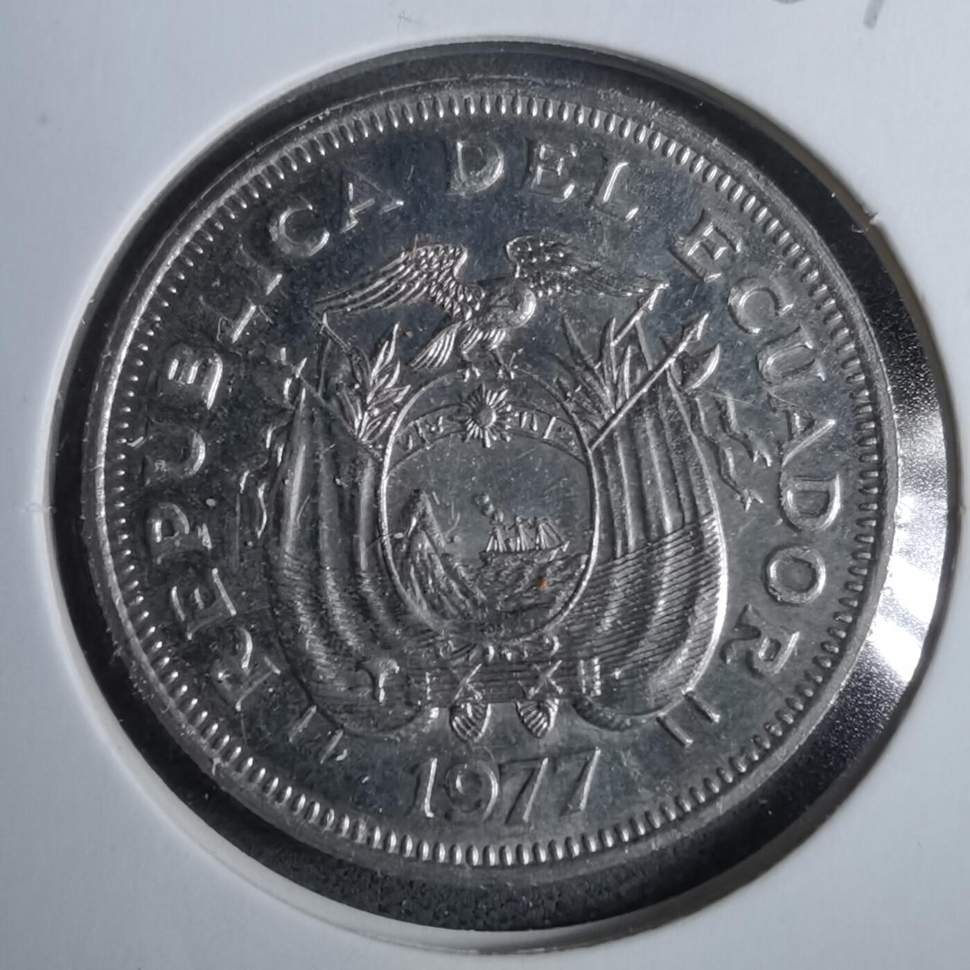 沼泽如烟--第889场