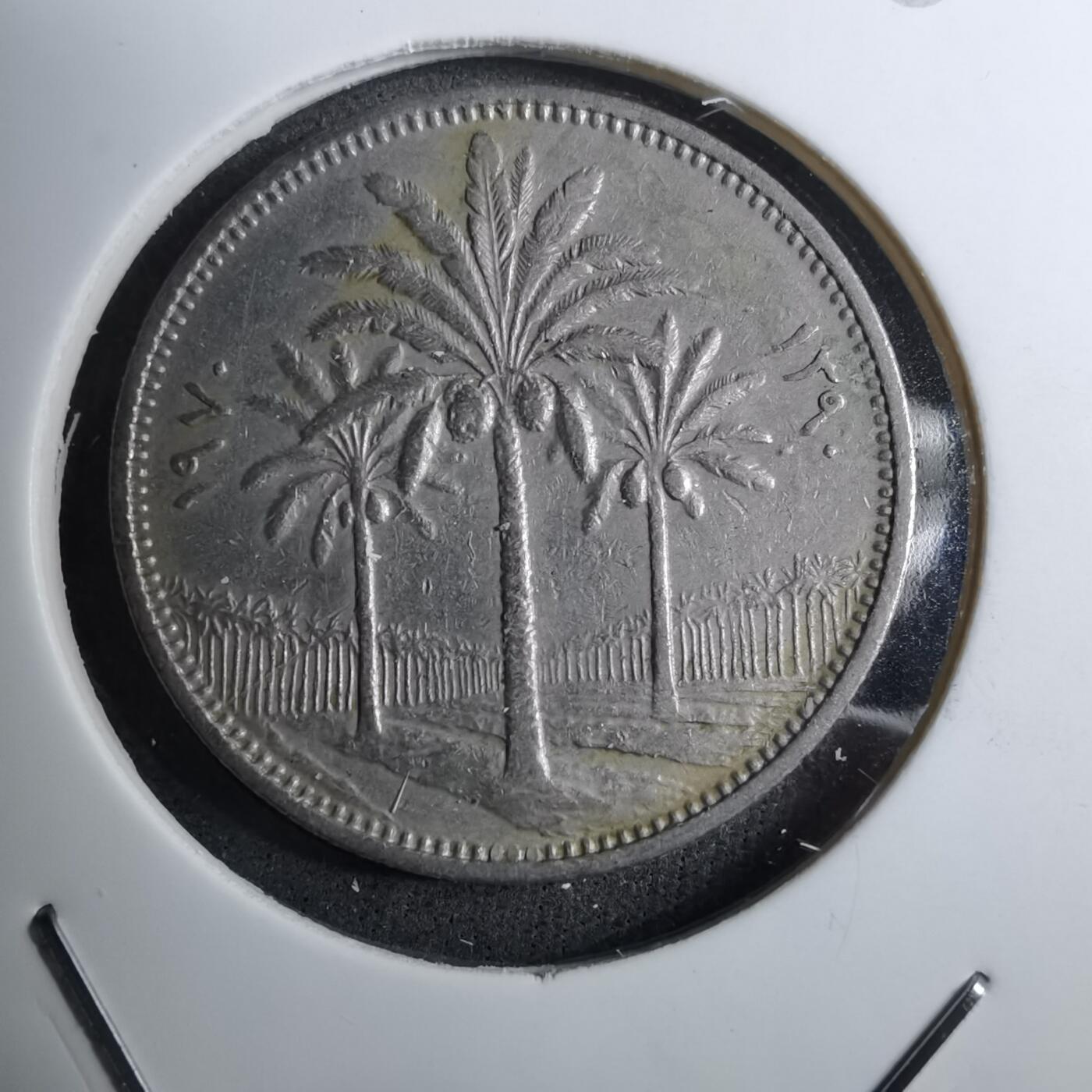 沼泽如烟--第888场