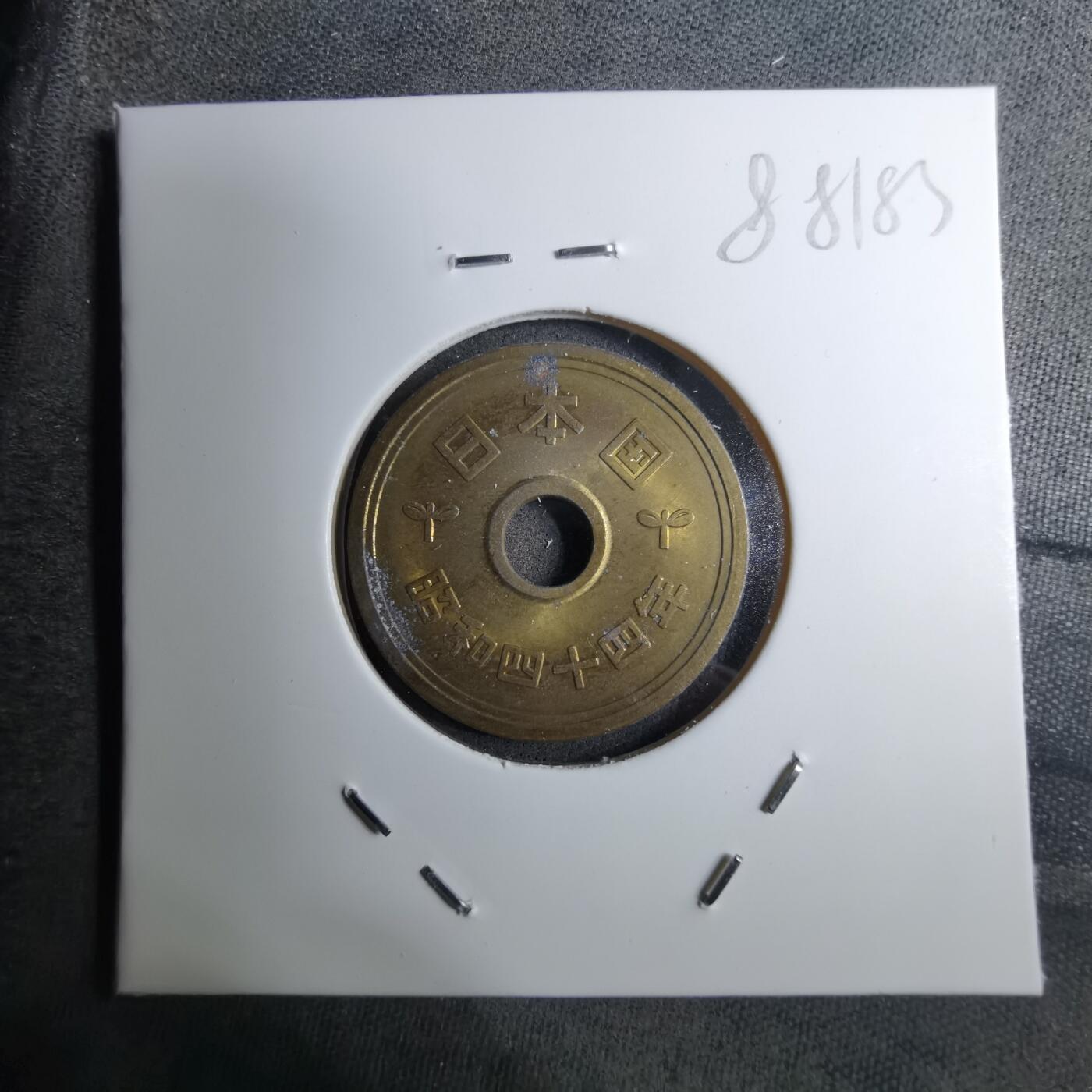 沼泽如烟--第888场