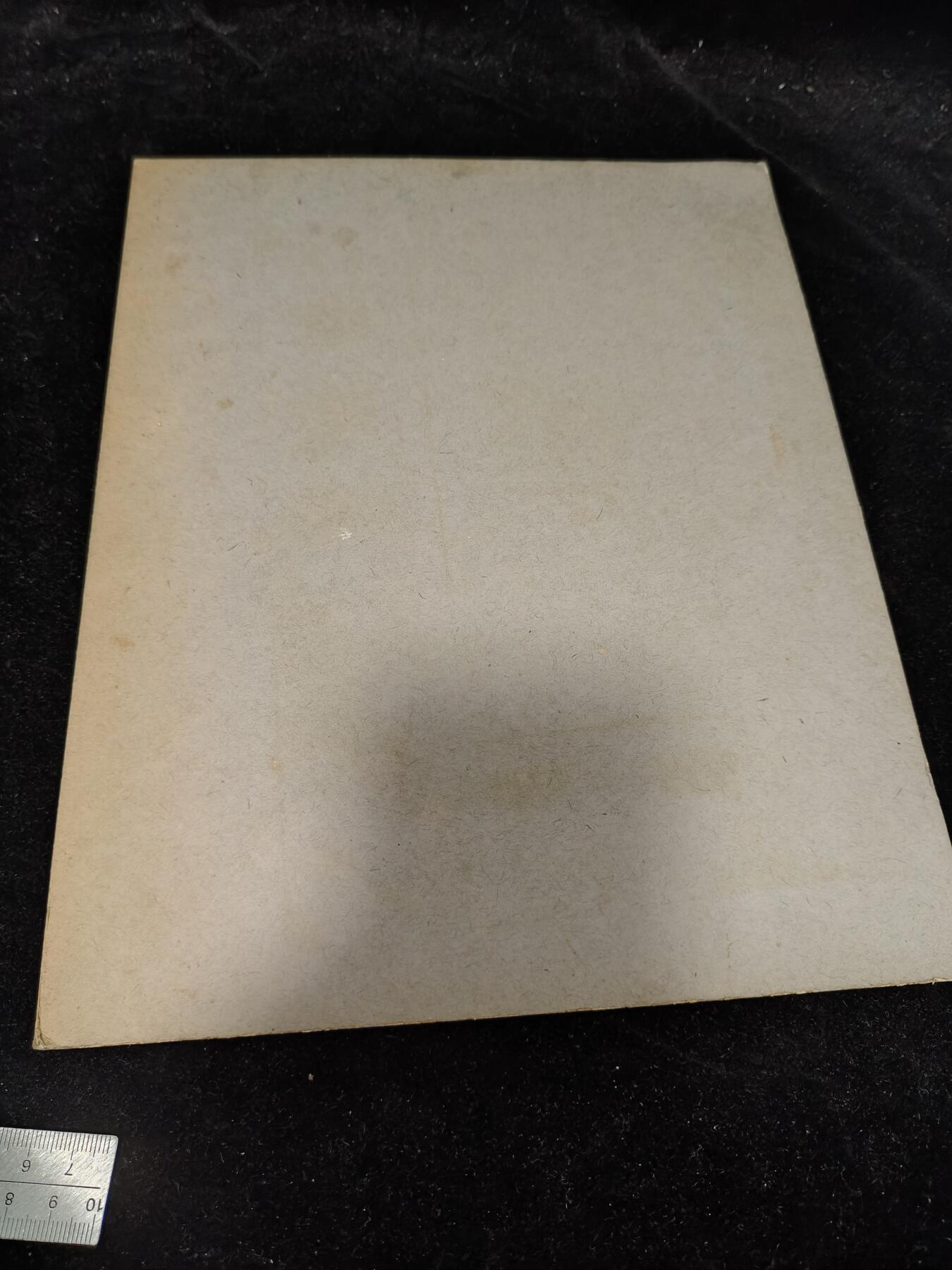 0元起拍勋章 第307期 咸鱼国勋章拍卖专场 11月5日（周三）下午6：00开始 日本大正时期 大型陆军合影照片